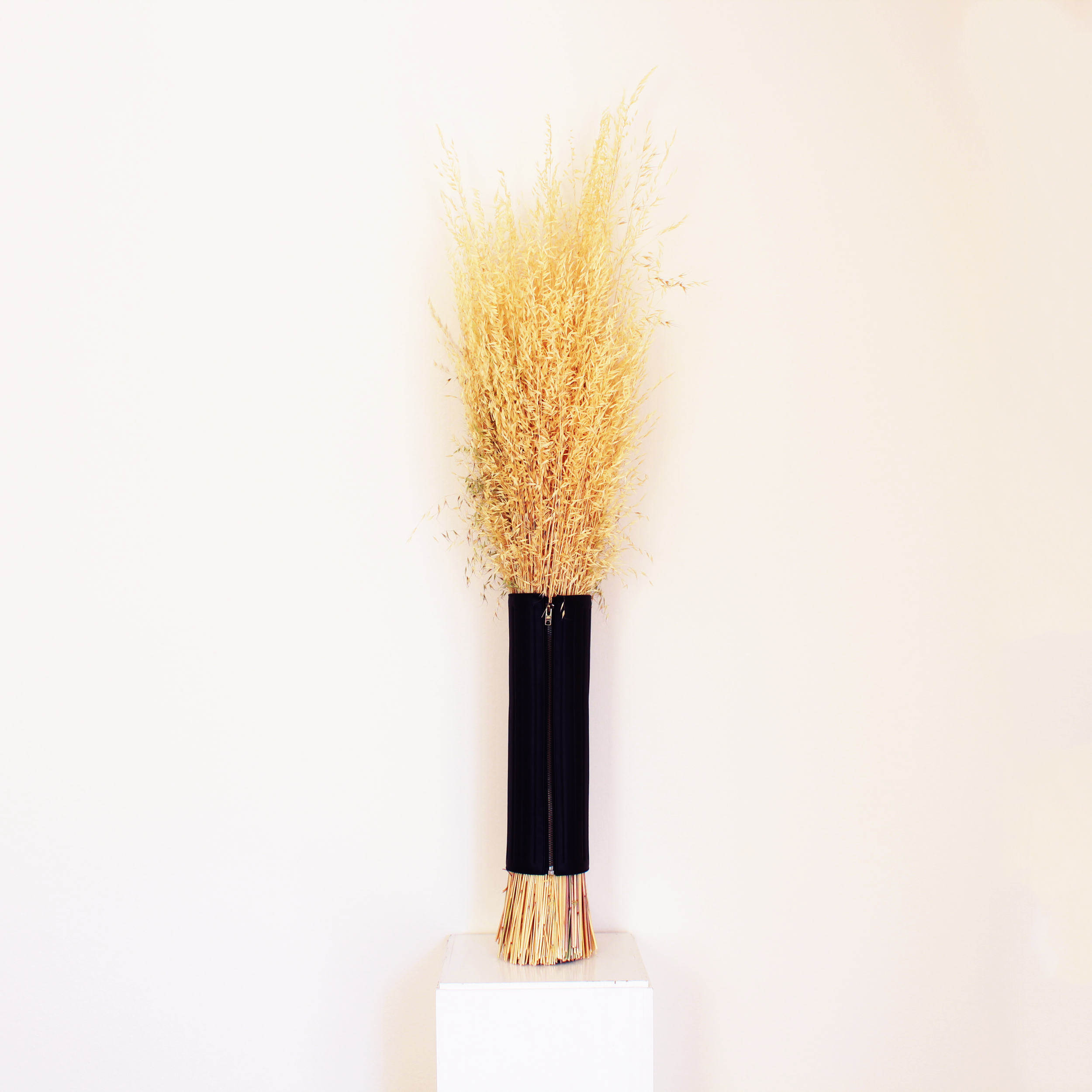 Forager California-A.png