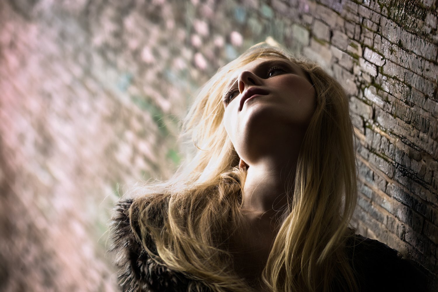 Emma Bell, Actor/Director