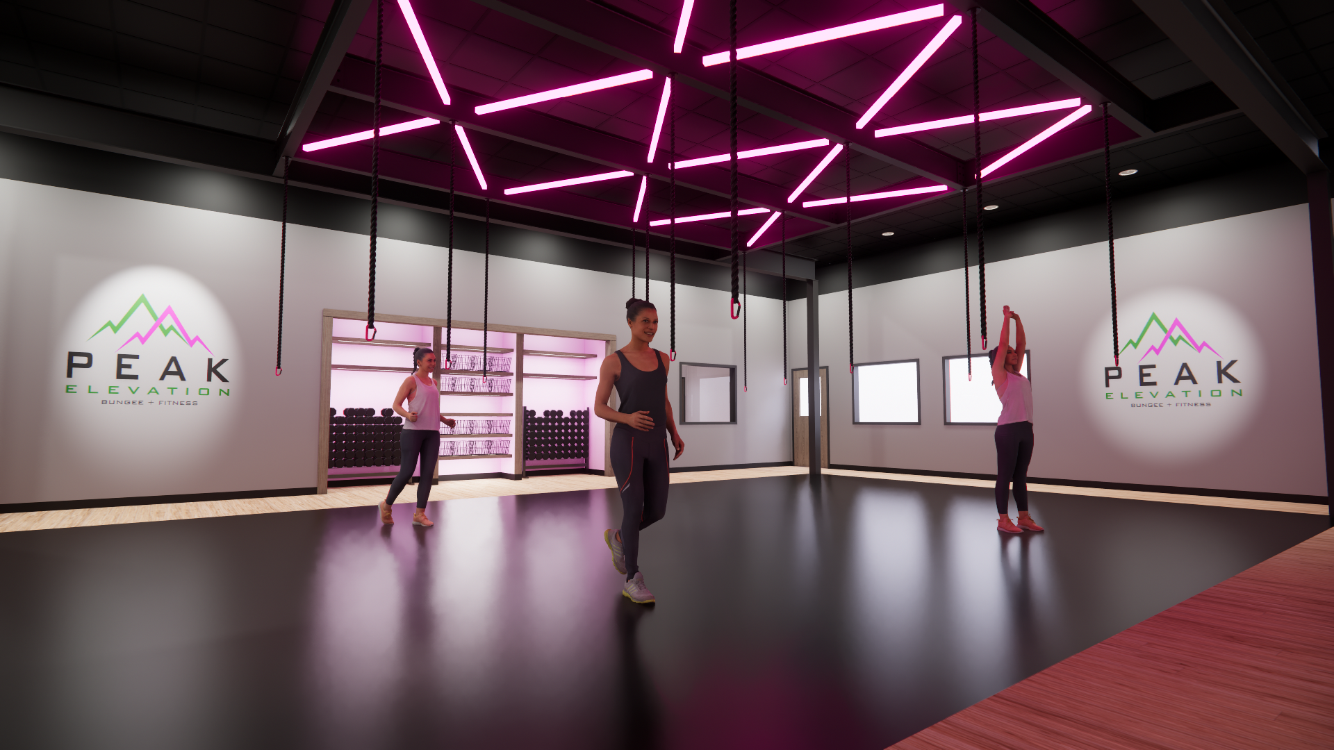 An indoor fitness studio with women exercising on hanging ropes, under pink neon lights, with a wall showing a logo for Peak Elevation Bungee and Fitness.