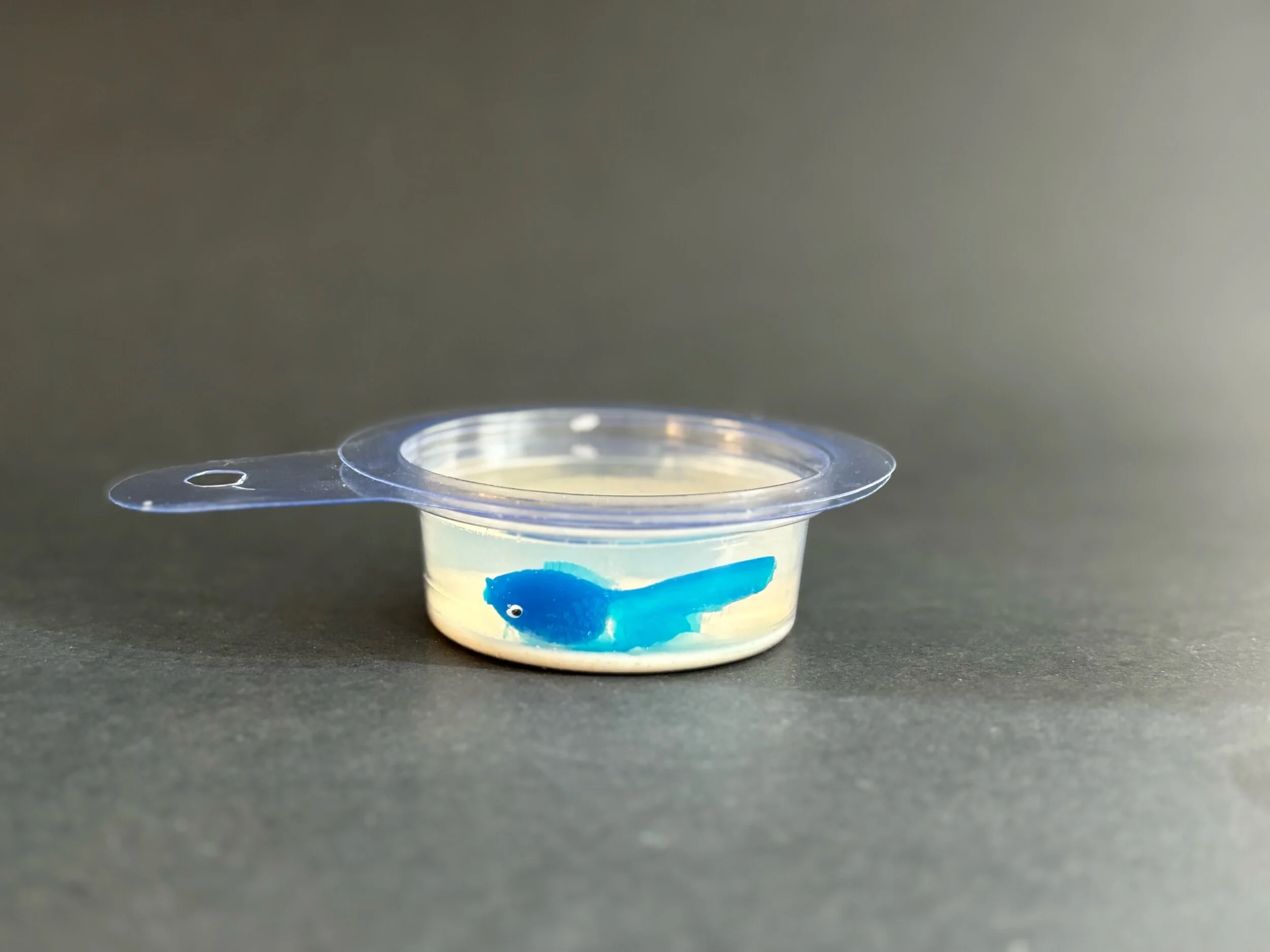 81CD0C93-D926-4CBA-8ACA-CC091D862993