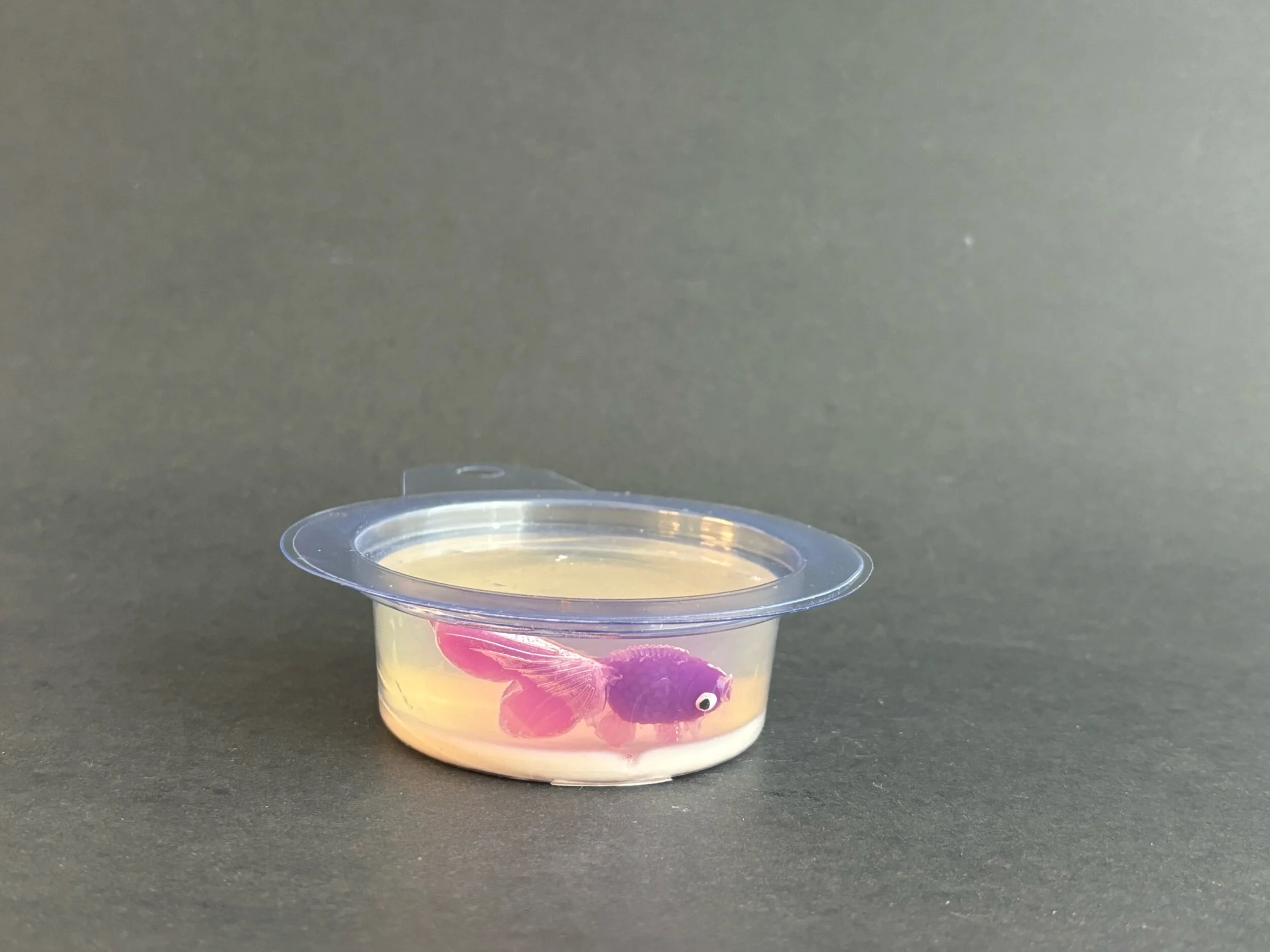 903F4872-D78C-44BB-9E19-2DE30067FE89