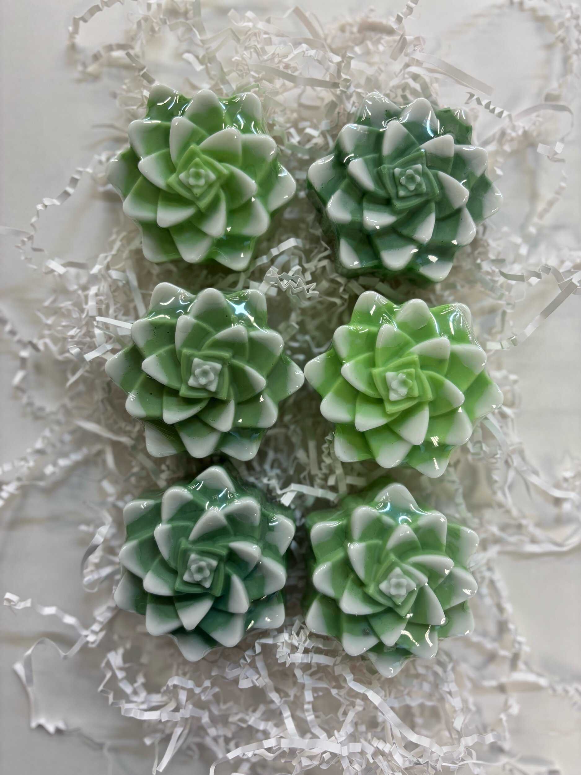 05668F70-B1D7-4B71-82A4-248FCFE82C3A