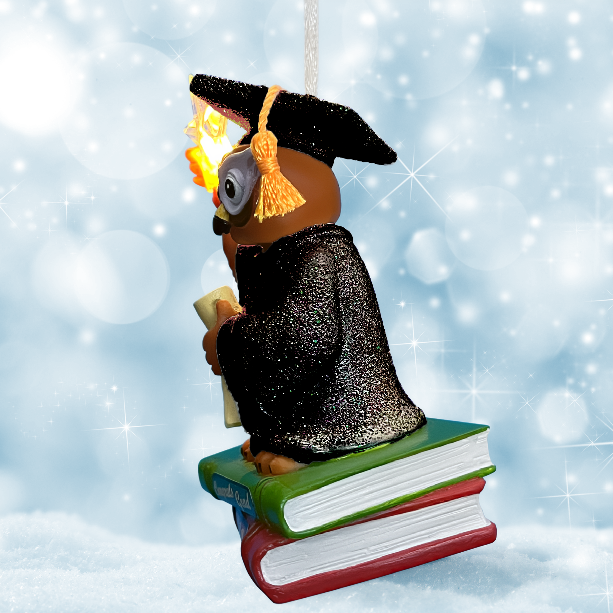 Graduation Owl-2026-Lt-Black.png