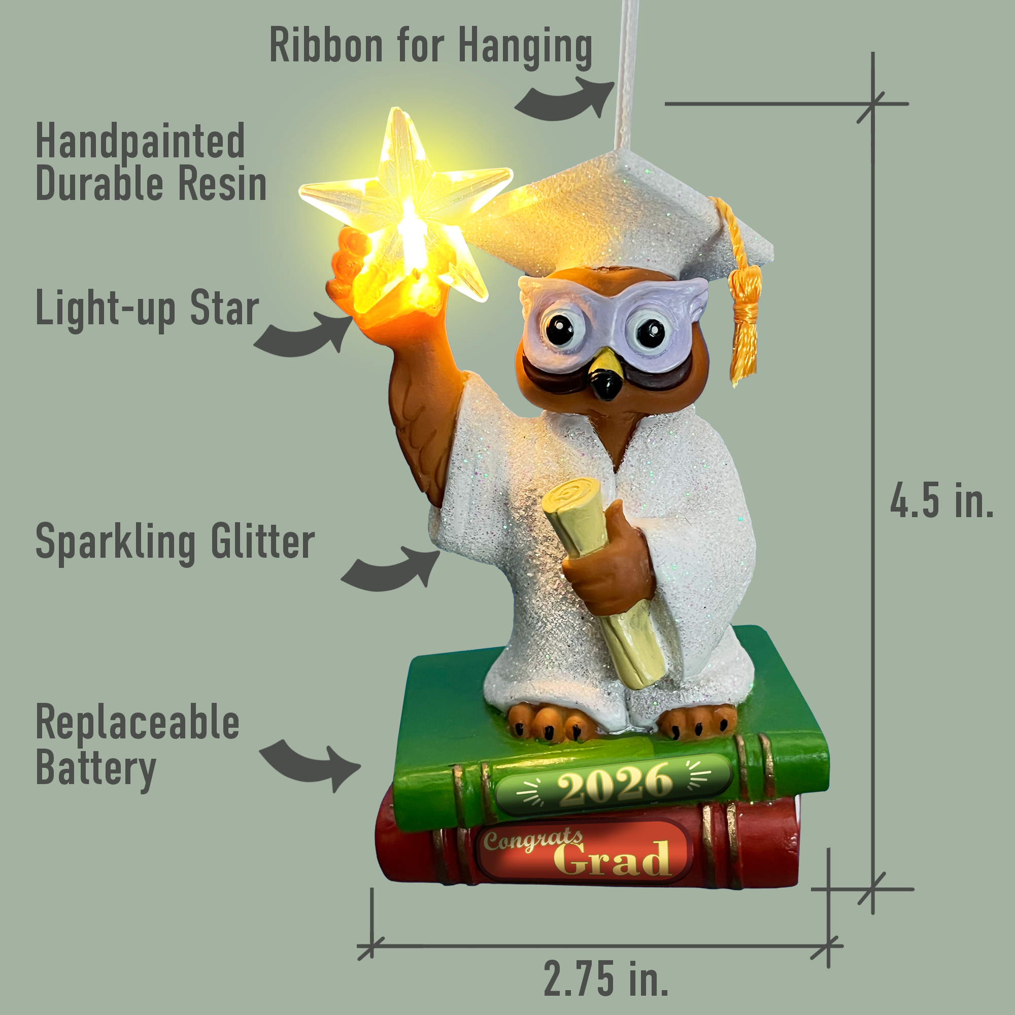 Graduation Owl-2026-Description.png