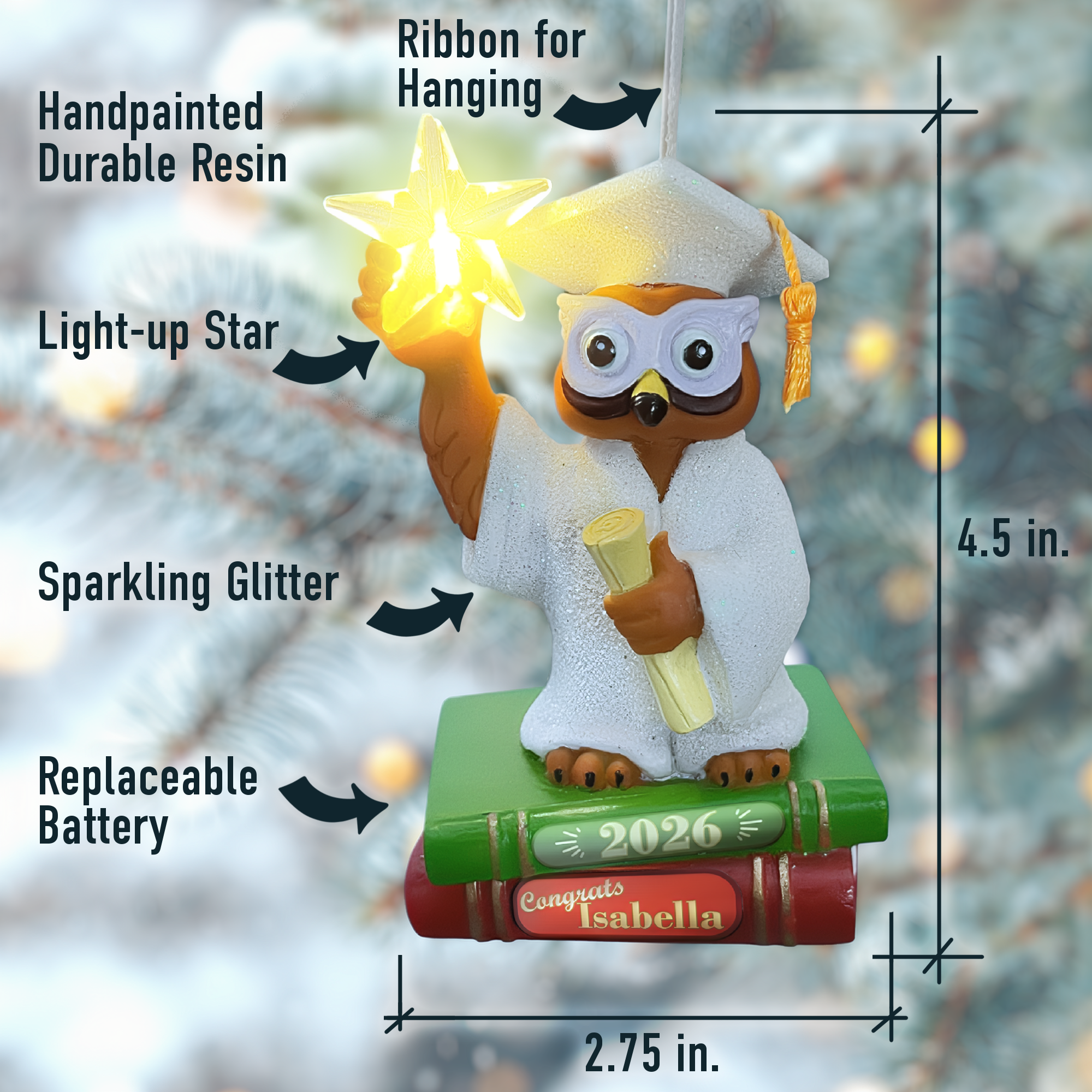 Graduation Owl-2026.png
