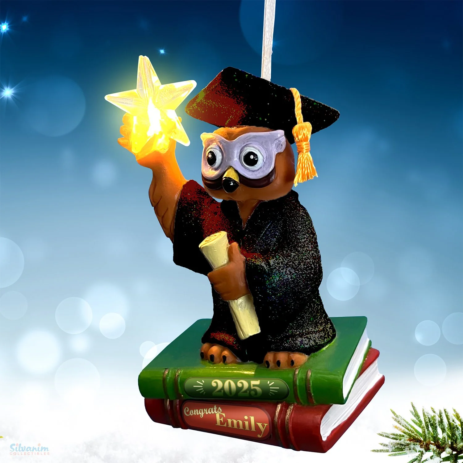 Graduation Owl-2025-3Q Lt-Black-Personalized black gown