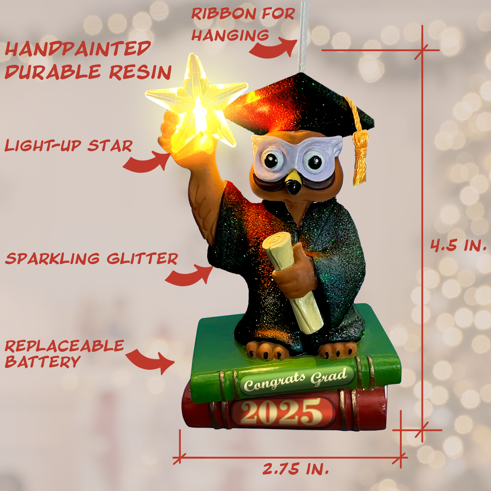 Graduation Owl-2025-Black-Dimensions.png