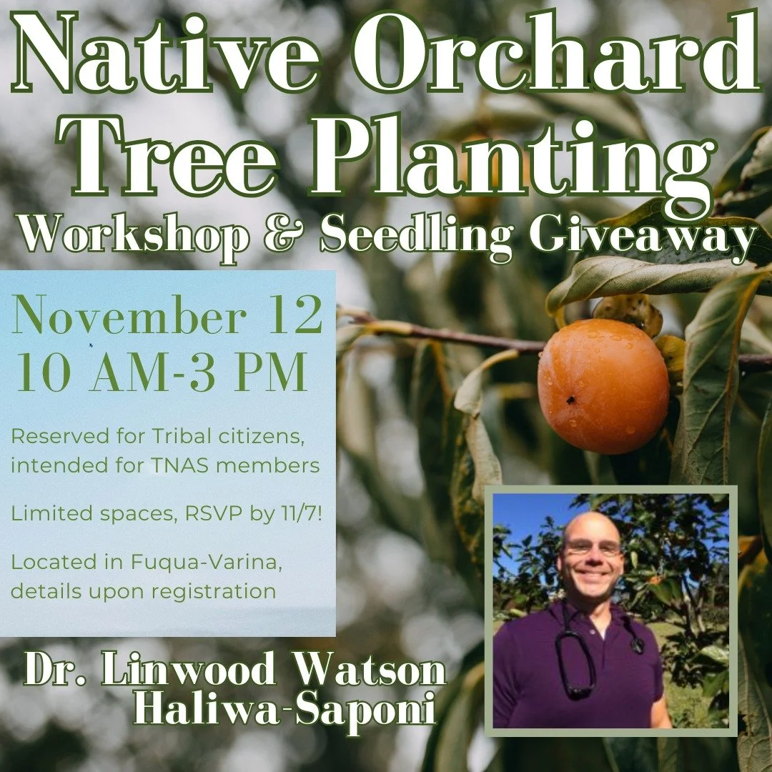 TNAS is returning to the orchard of Dr. Linwood Watson (Haliwa Saponi) - "The Persimmon Dude"! Dr. Linwood has graciously invited us to return to his orchard in Fuqua-Varina for a hands-on workshop on proper techniques for tree planting, ca