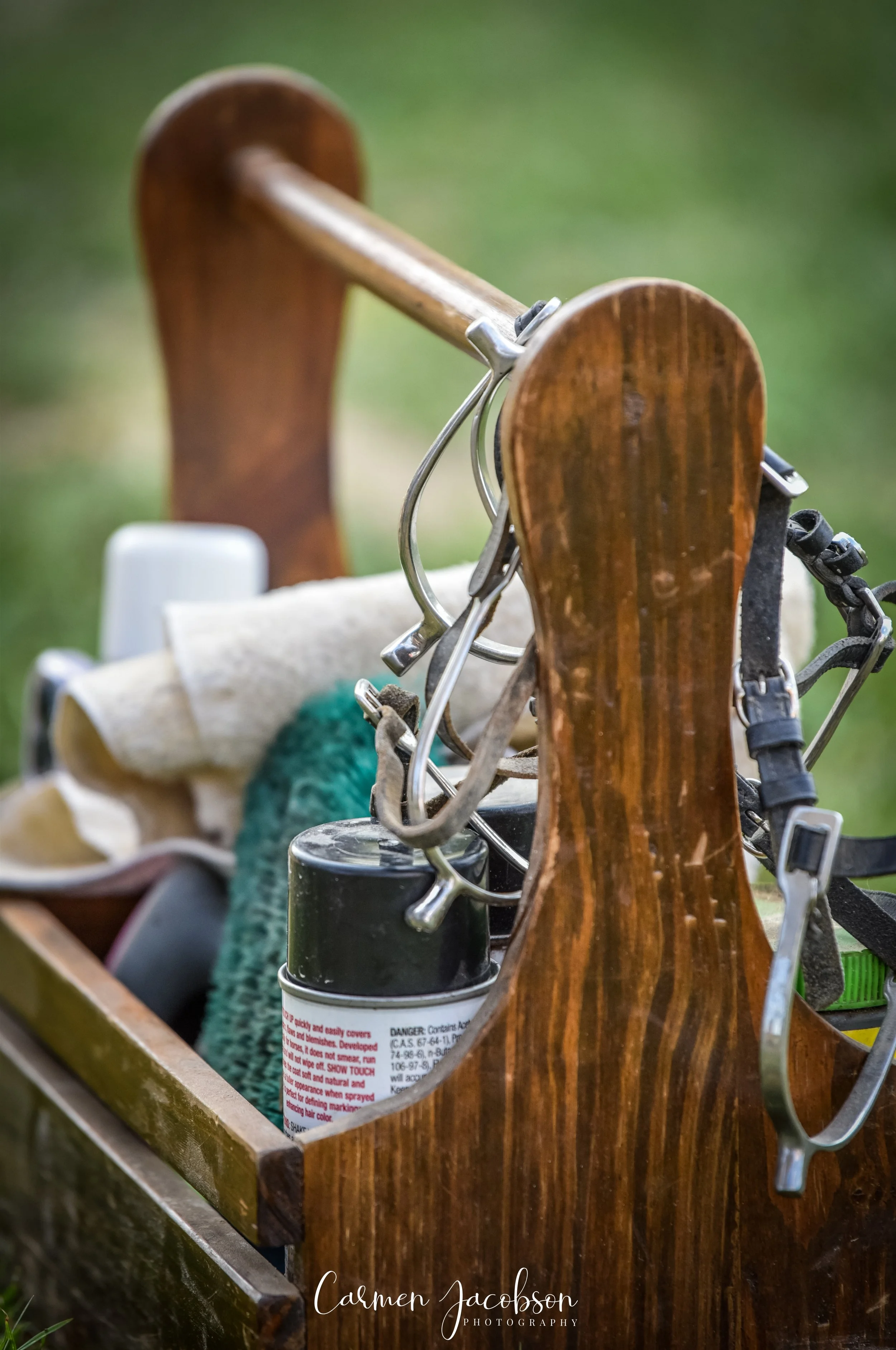 Equine Stock Image