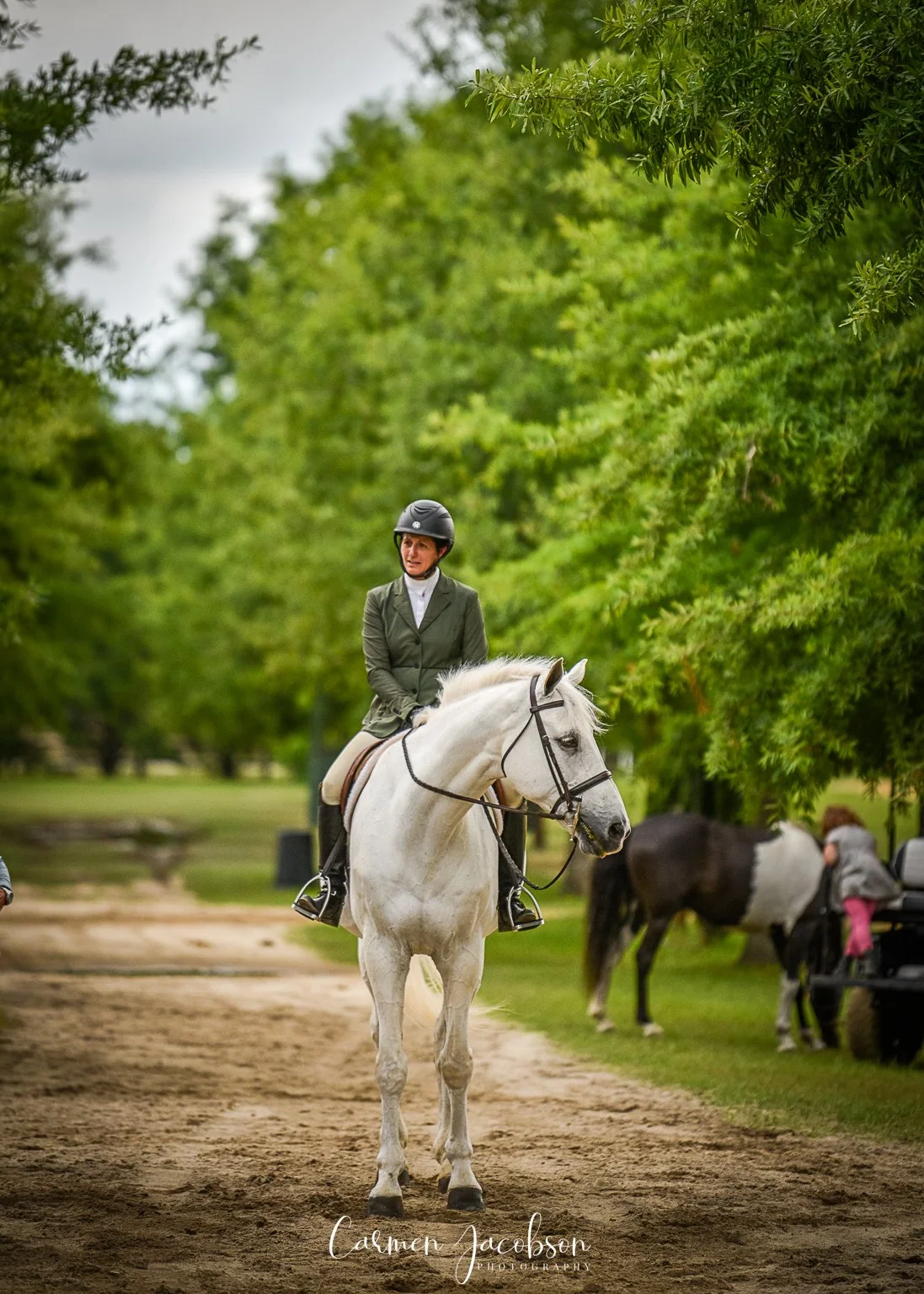 SATP Hunter Jumper Classic