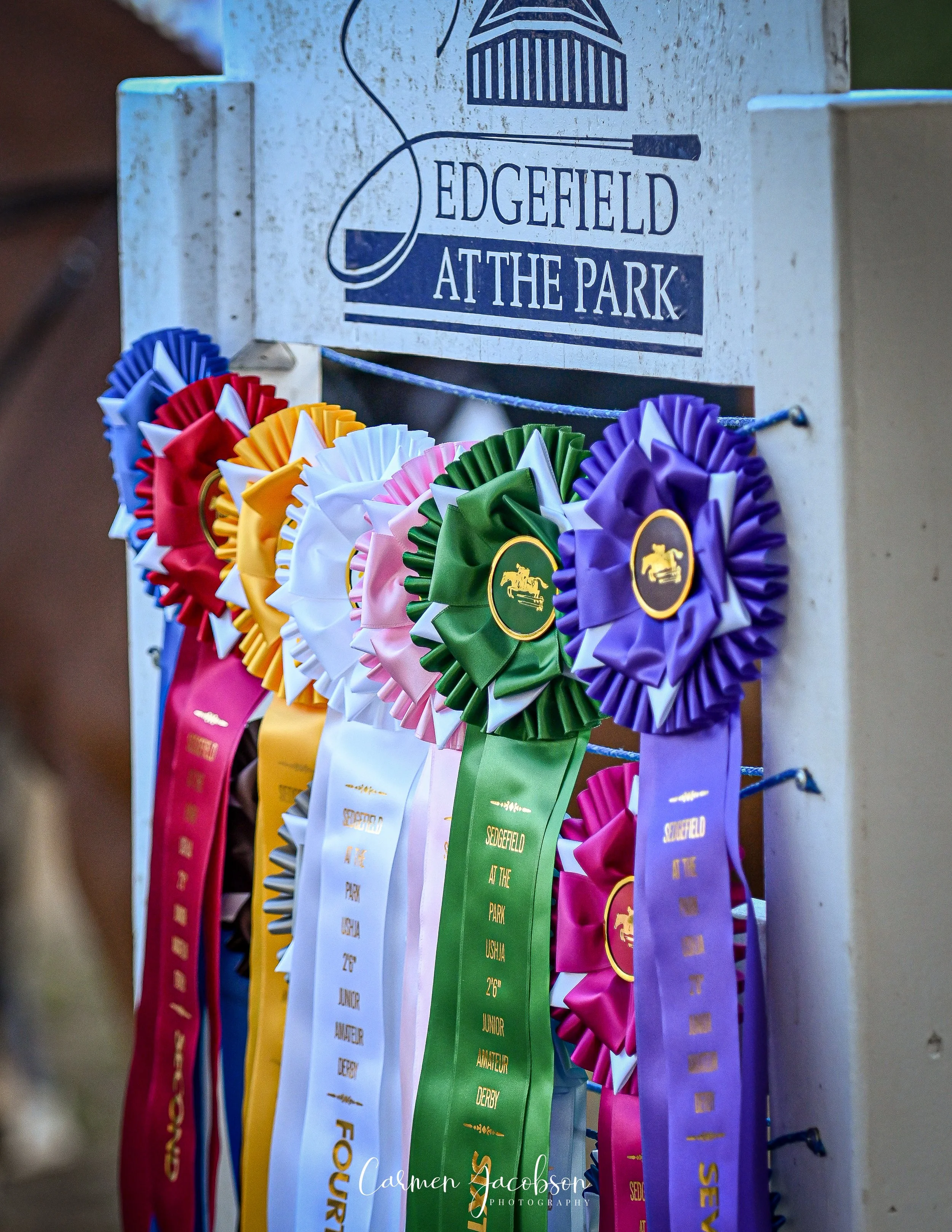 Sedgefield Hunter Jumper Classic