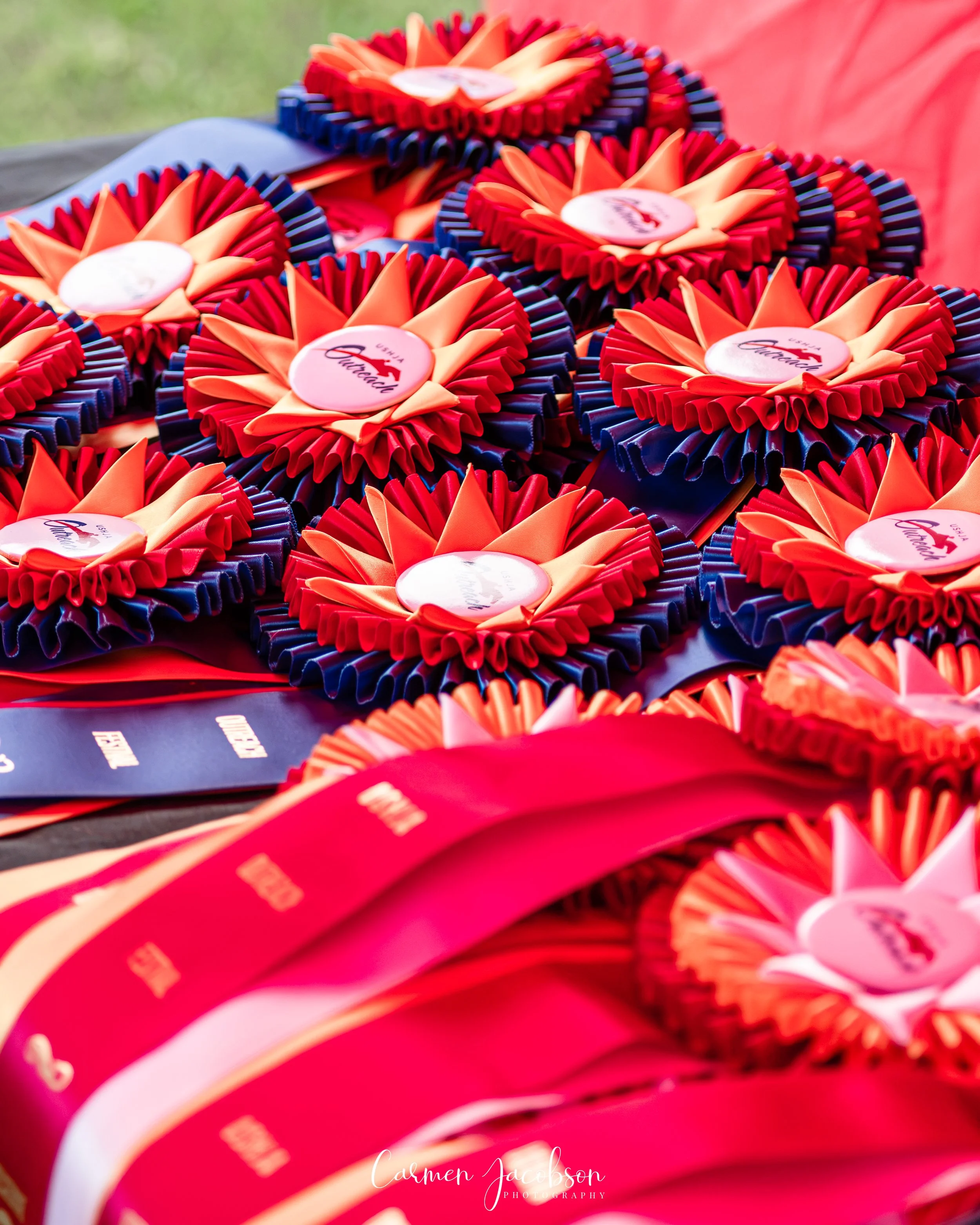 Alaska State USHJA Outreach Festival