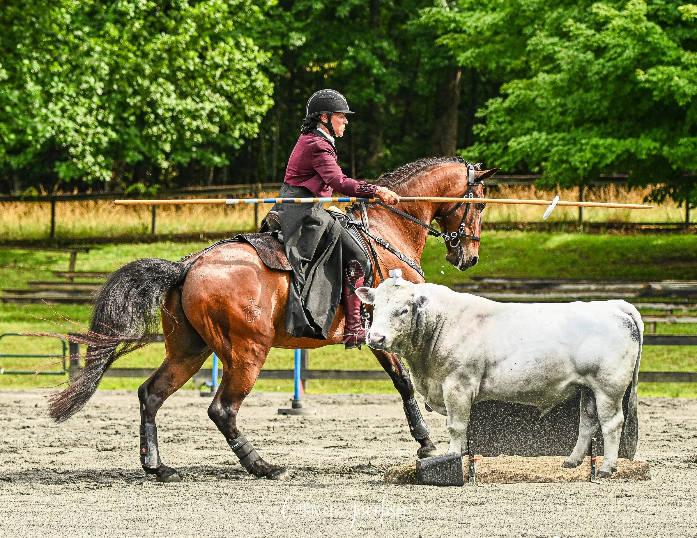 DSC_1766.jpg