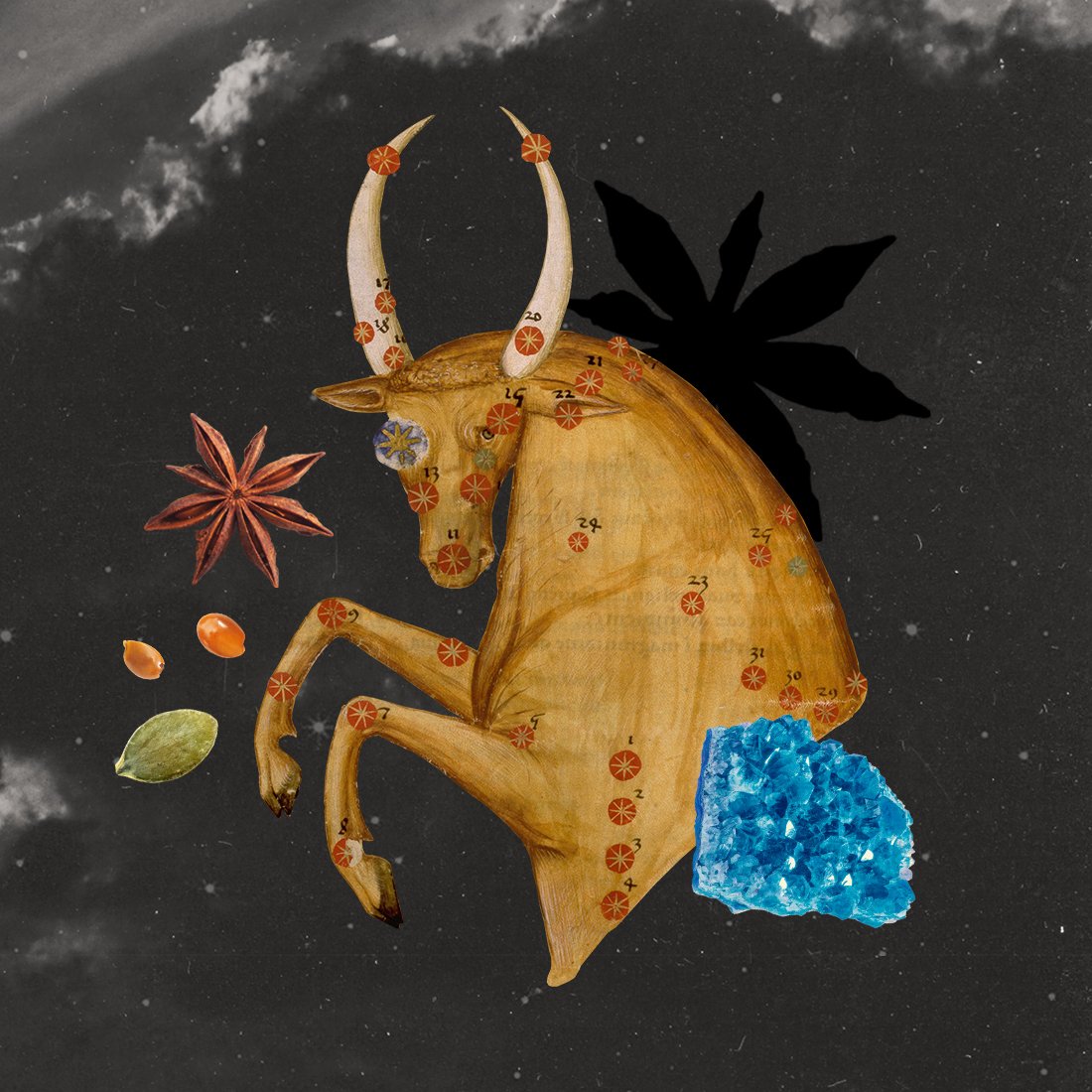 Elle_Astro_Taurus Season_Lead.jpg