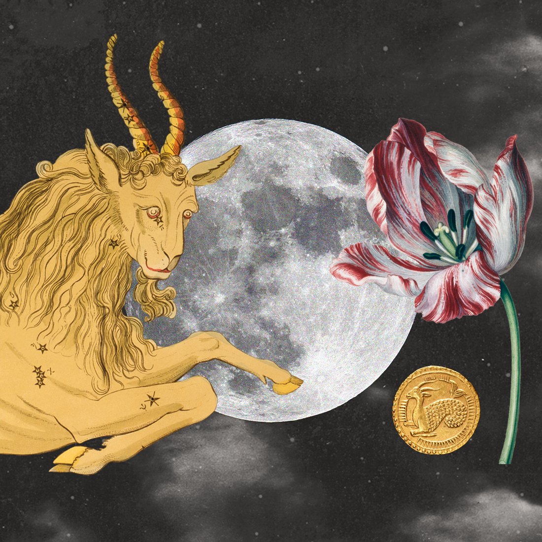 Elle_Astro_Capricorn Moon_lead.jpg