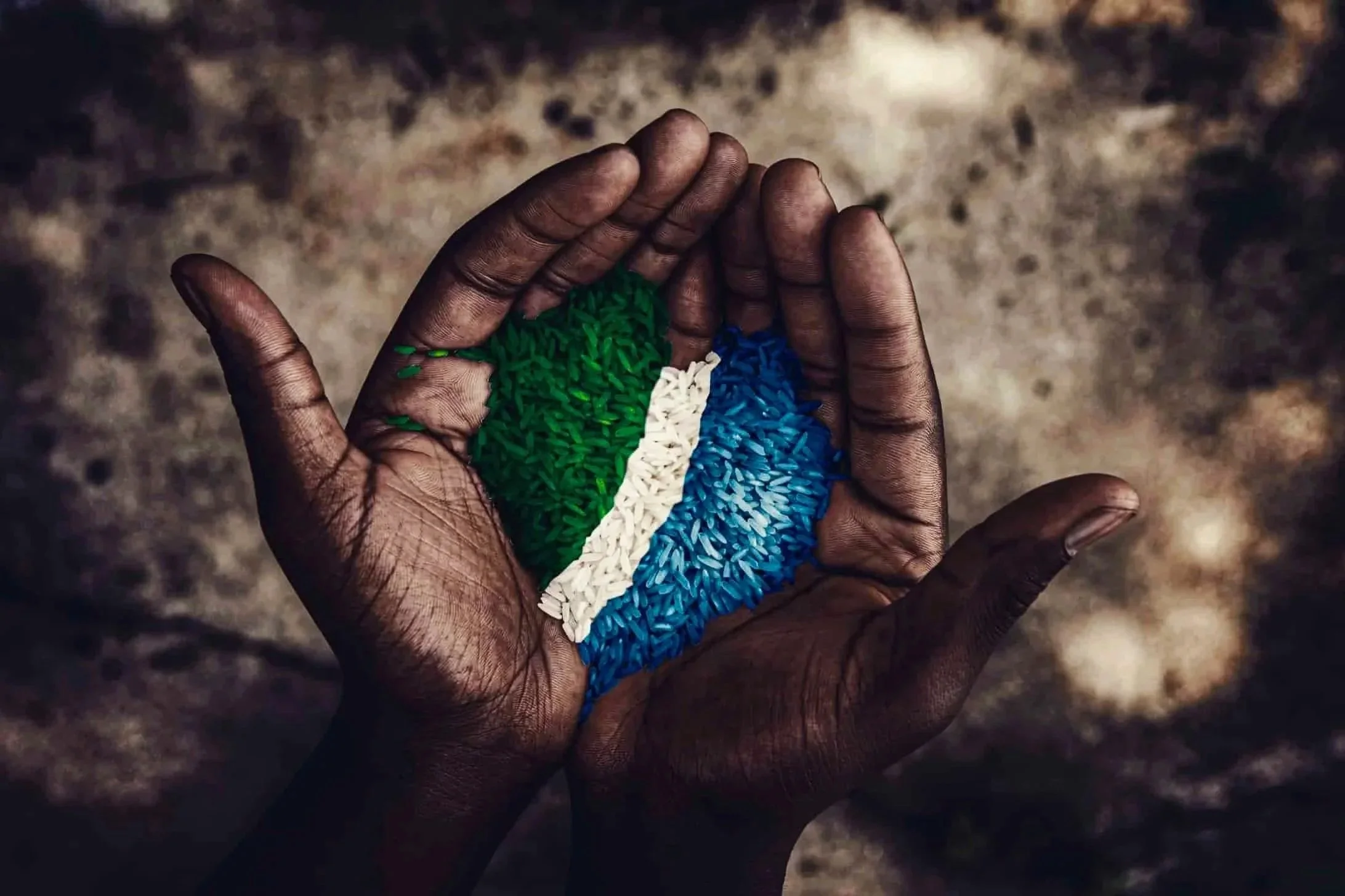 A person with dark skin holding a handful of colorful rice arranged in stripes of green, white, and blue, with a blurred earthy background.