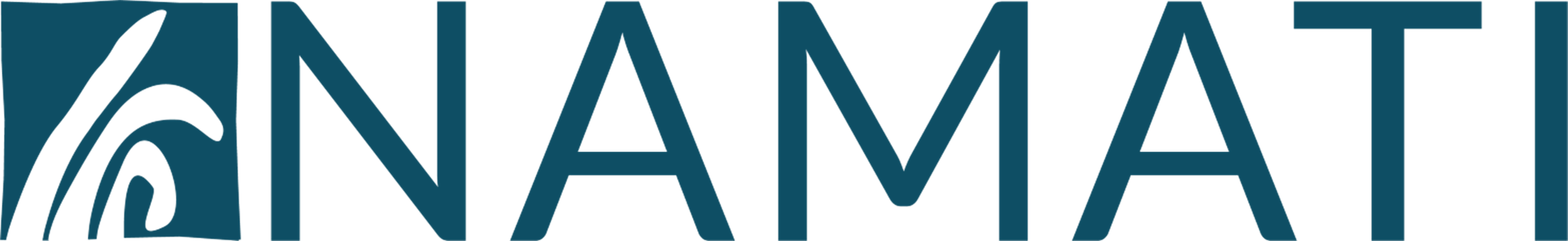 Namati logo.png