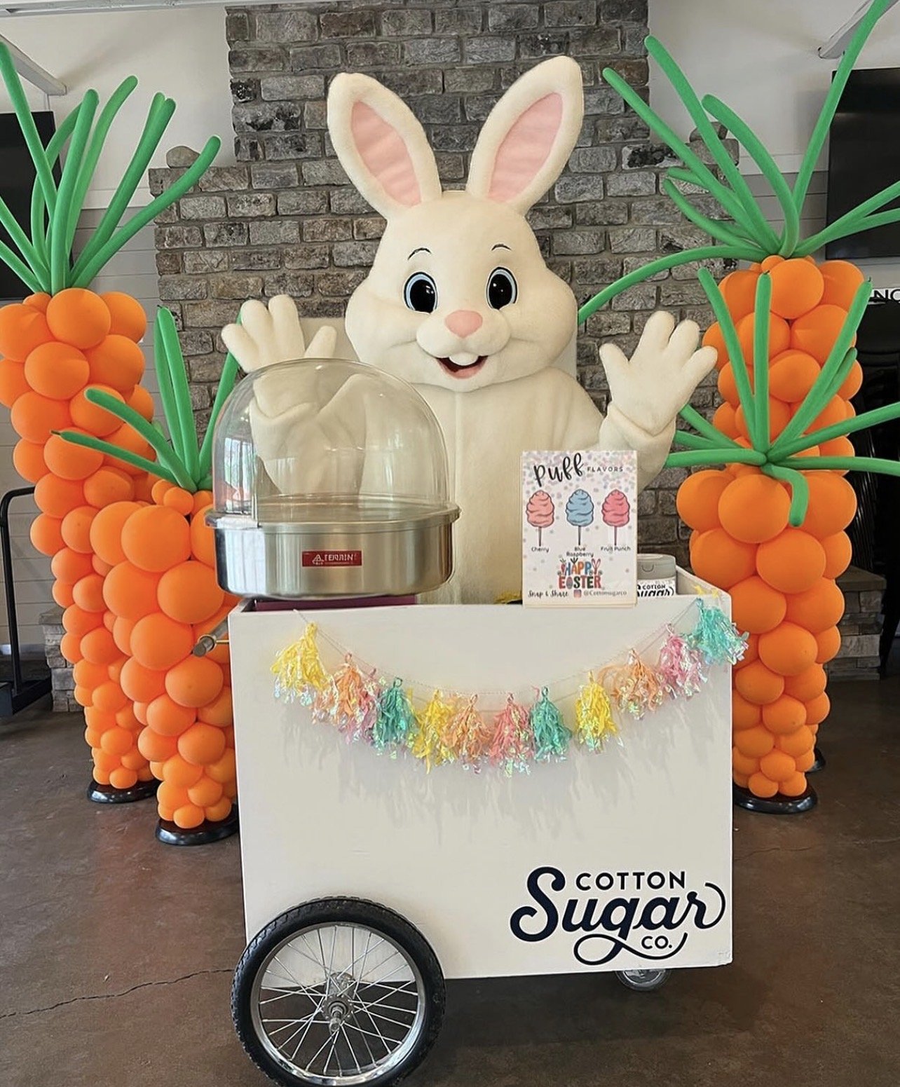 cotton-sugar-co-cotton-candy-cart-columbus-ohio.jpg