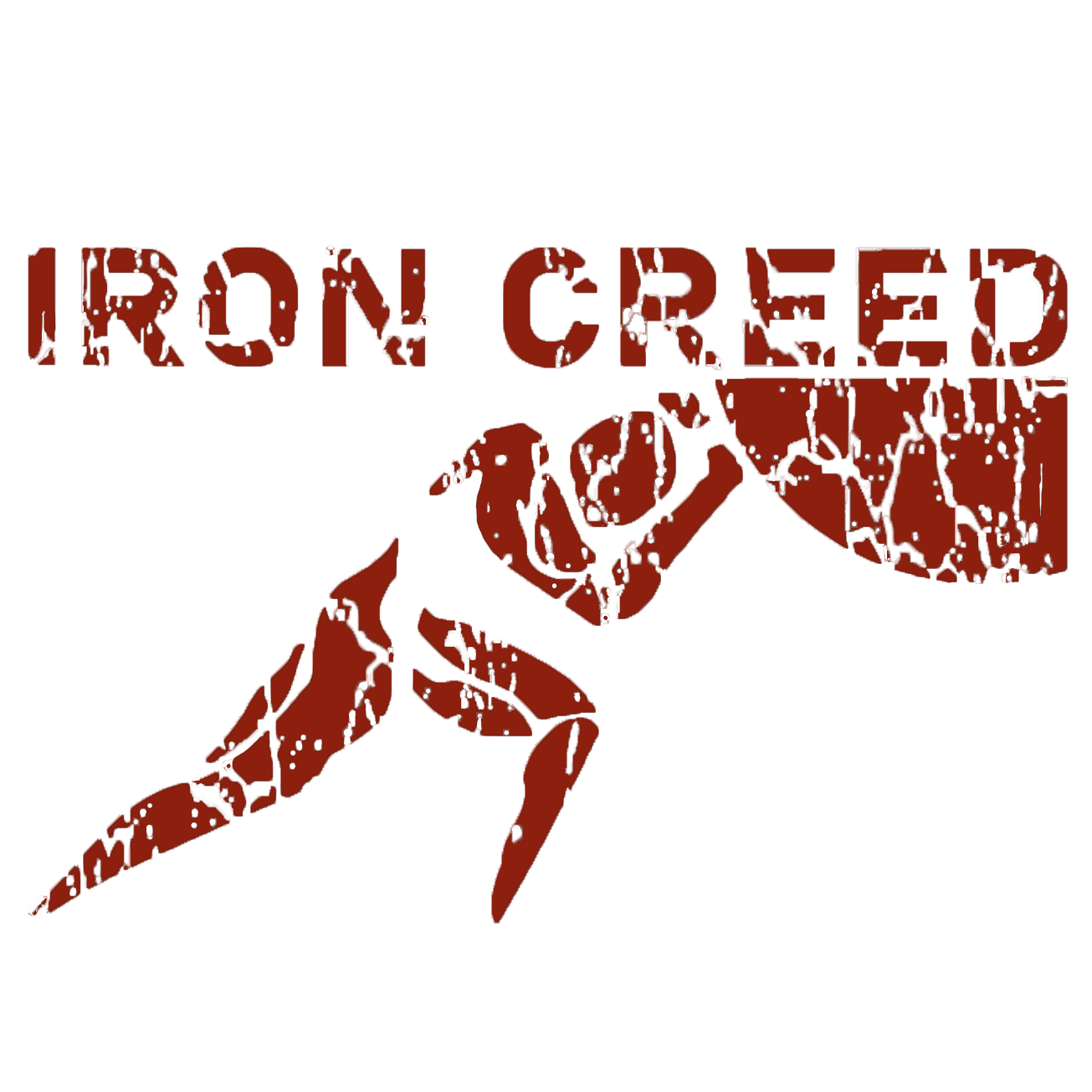 Store 2 — Iron Creed
