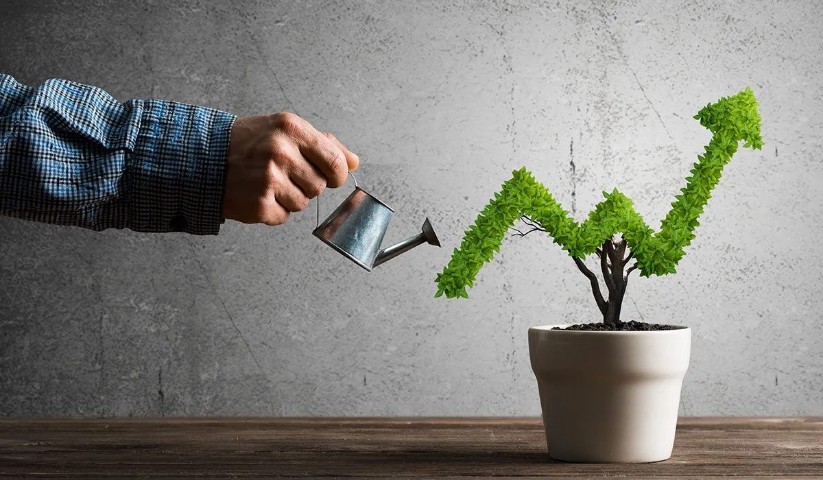 Corporate Growth
