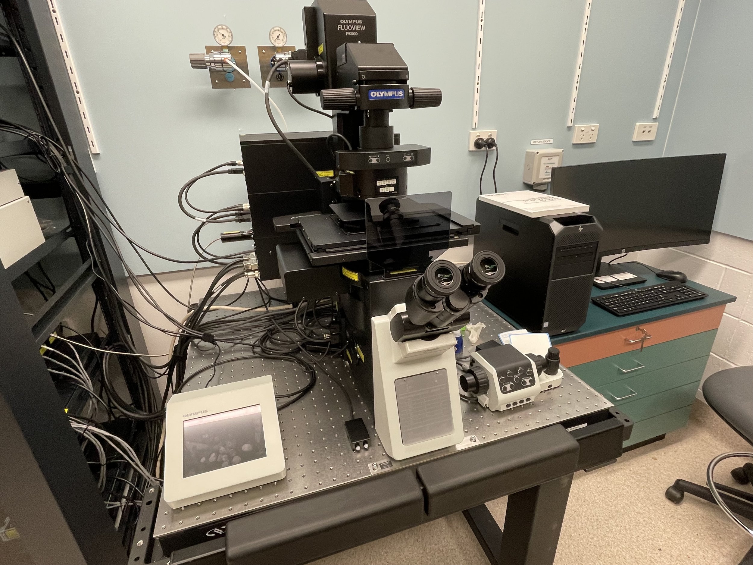 The Open Access, Advanced Microscopy and Imaging Facility — Centre for ...