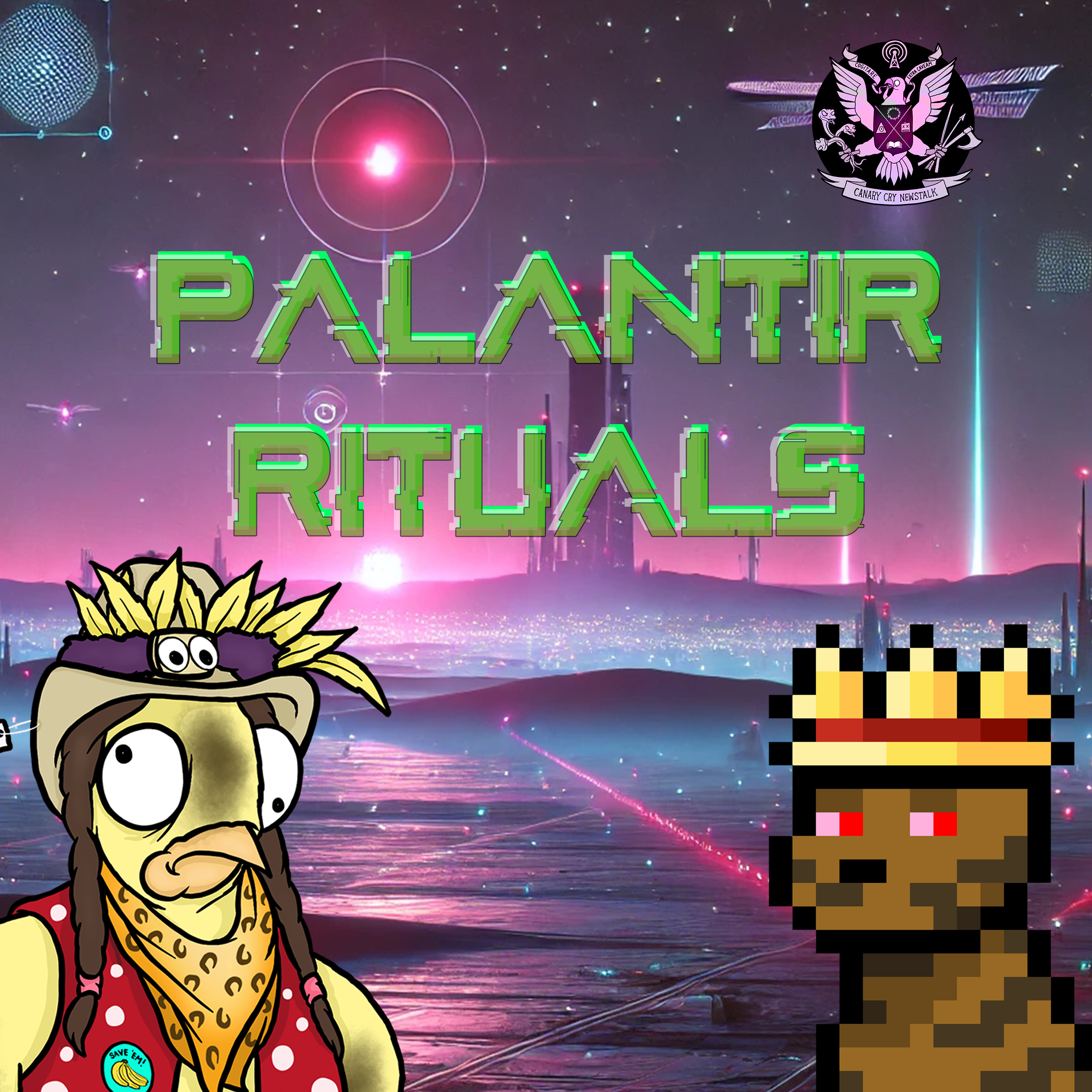 848: THE PALANTIR RITUAL