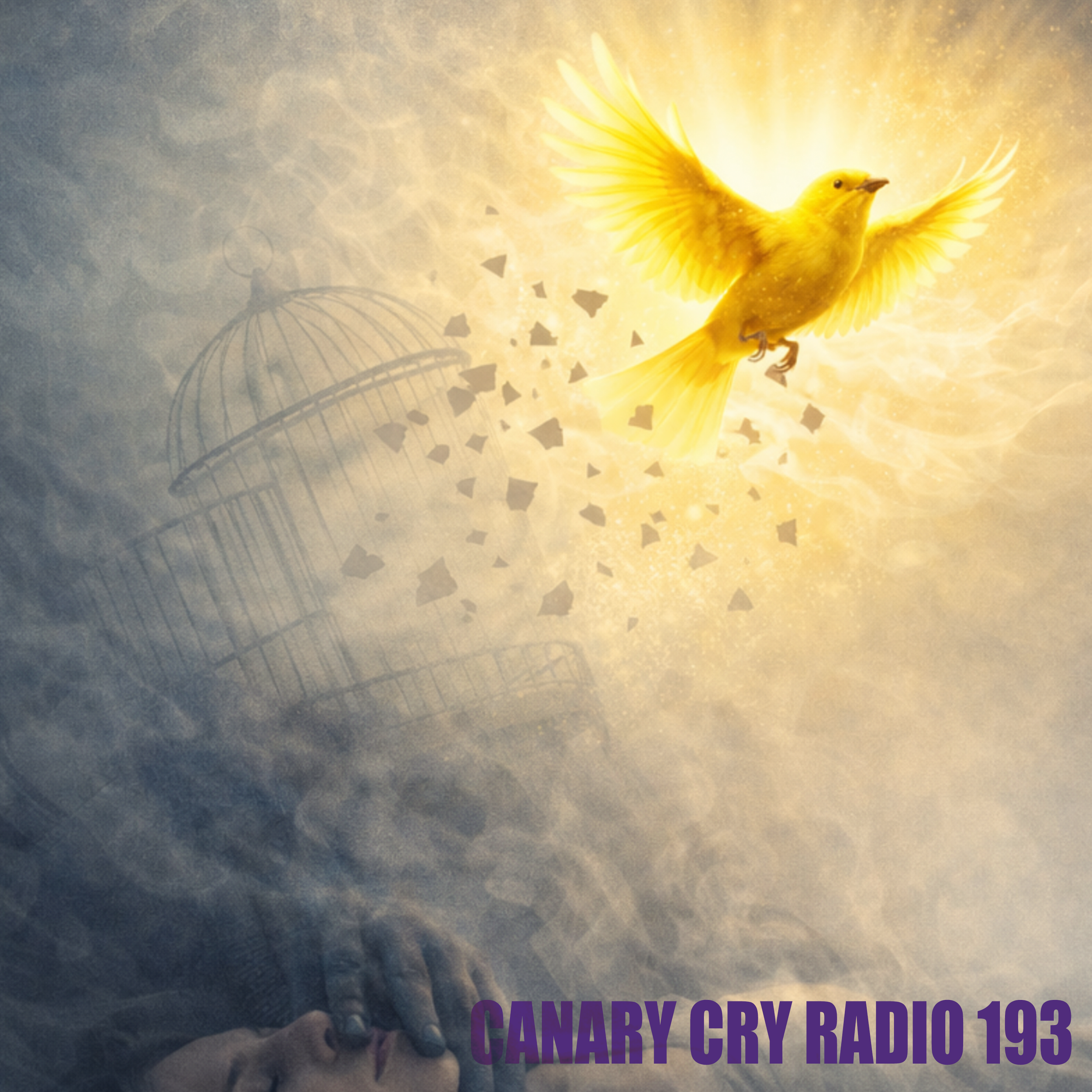 Spiritual Warfare with Vicky Joy Anderson | CCR 193