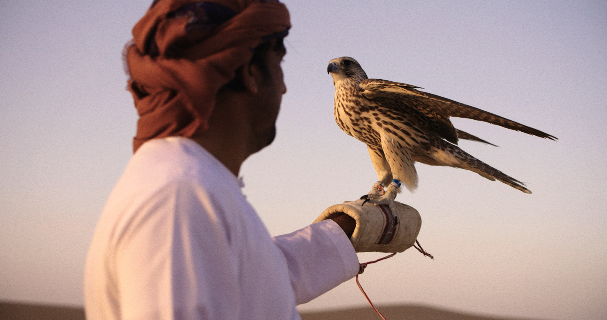 Screen Shot 2020-03-30 at 2.40.19 pm.png