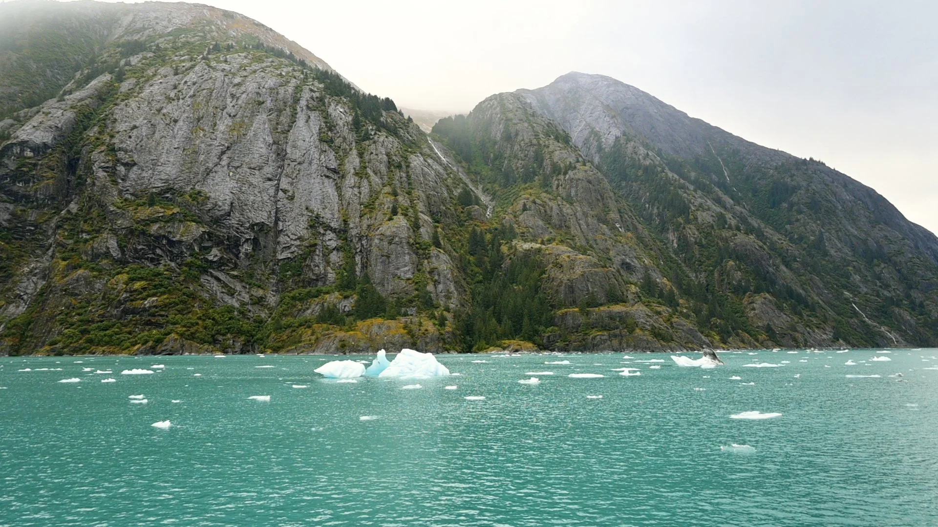 Alaskan Cruise