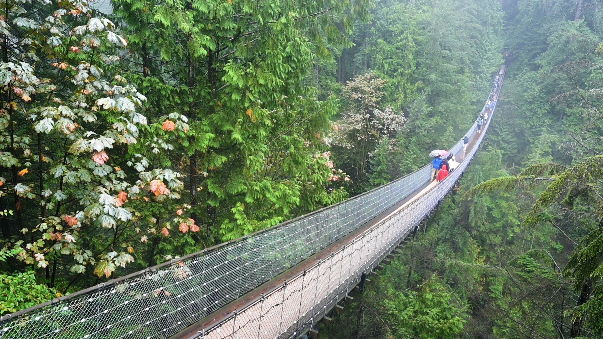 Capilano Suspension Bridge - Vancouver, BC, Canada