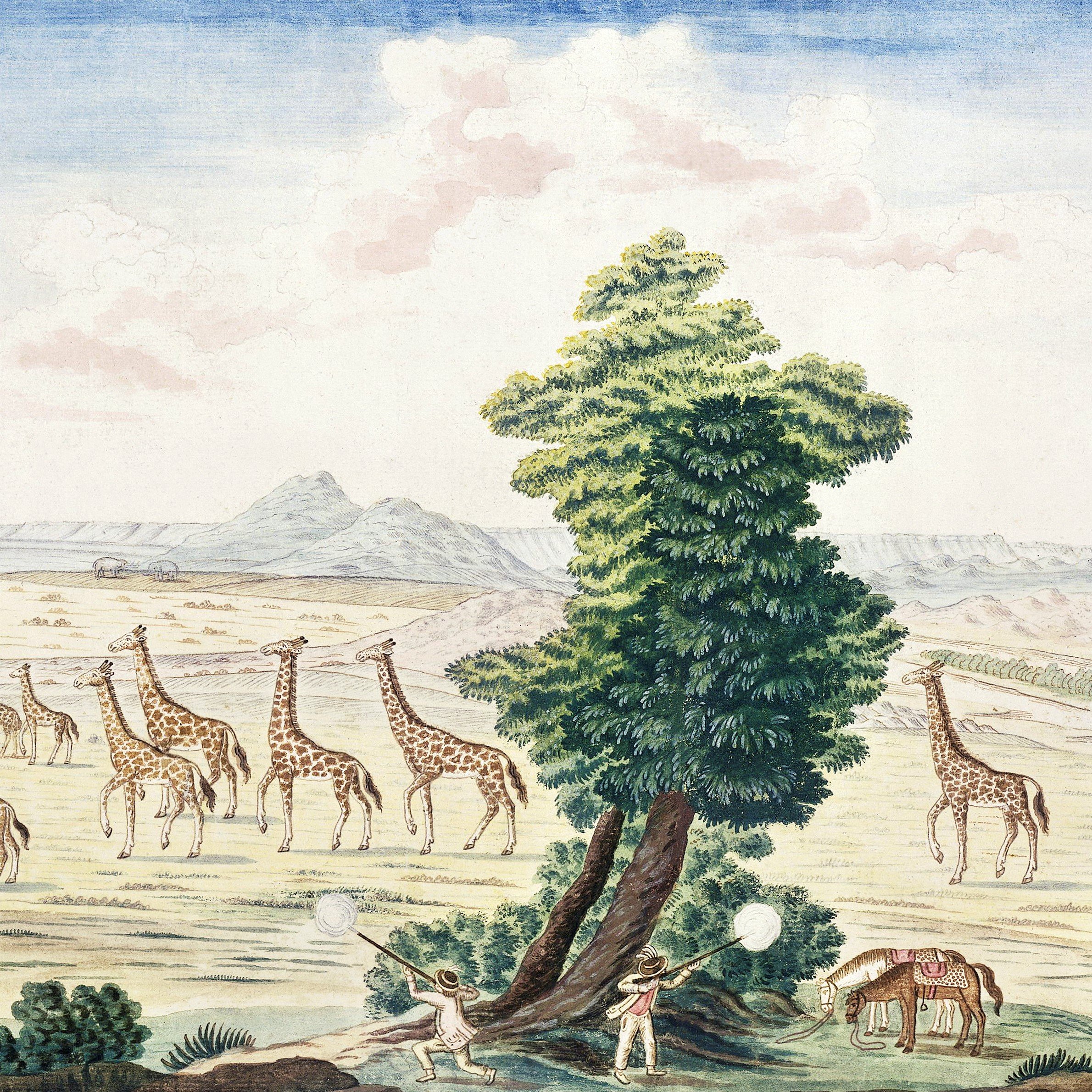 The Artworks of Robert Jacob Gordon.jpg