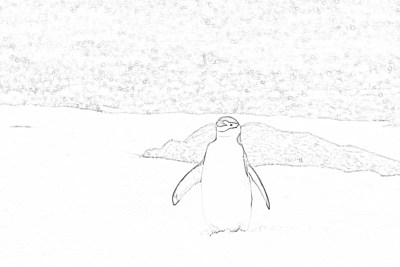Penguins.jpg