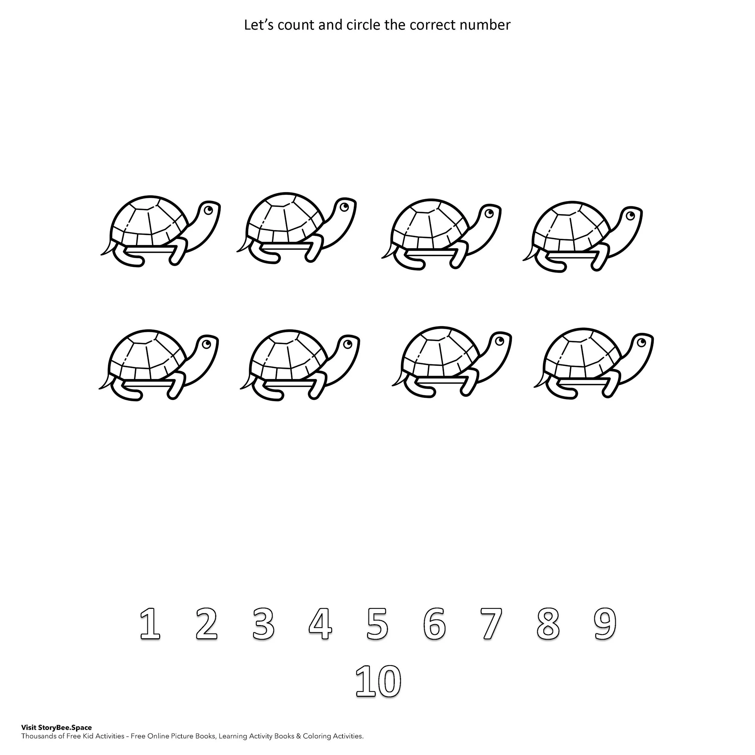 8 turtles.jpg