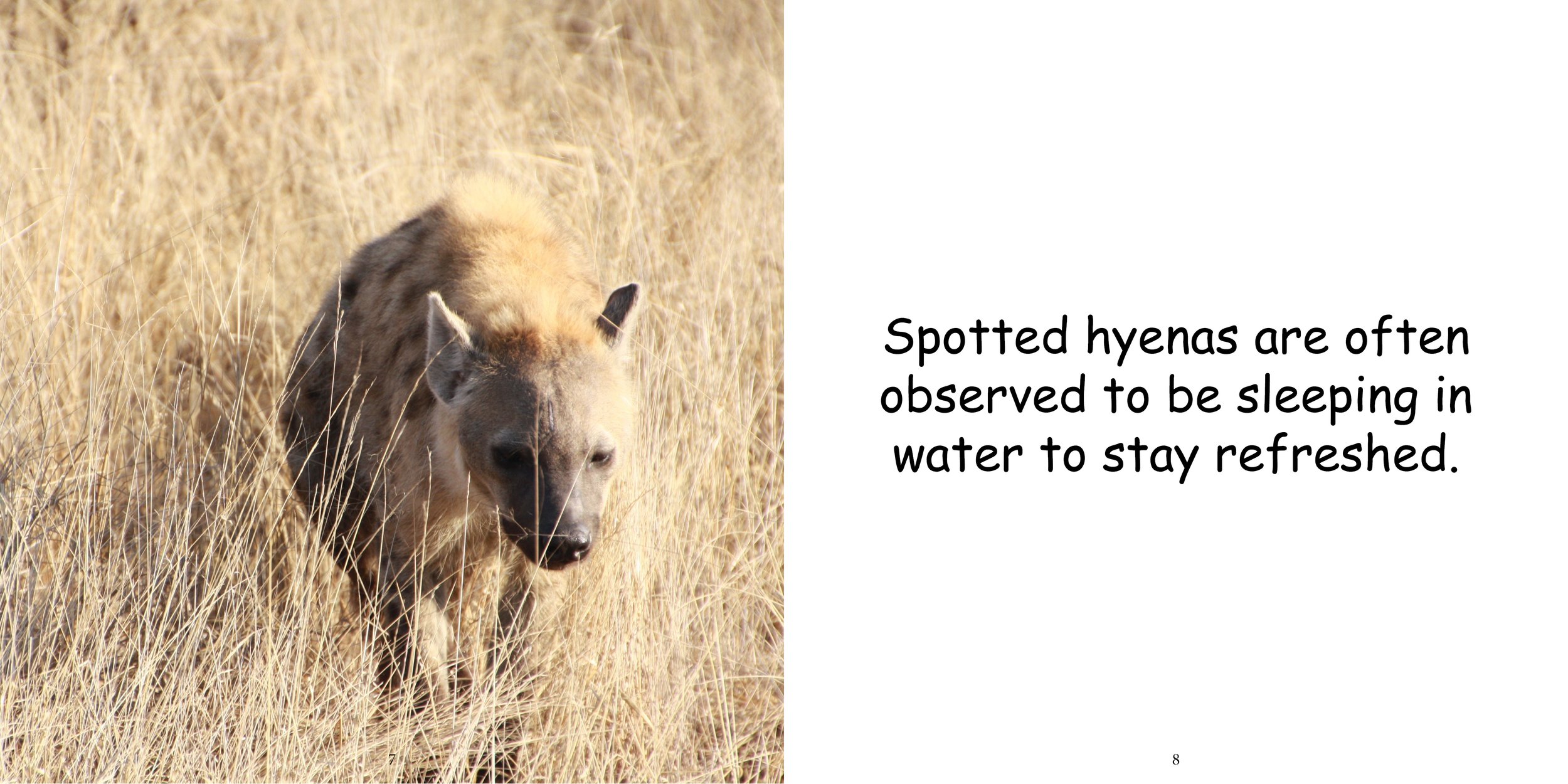 Everything about Hyenas - Animal Series8.jpg