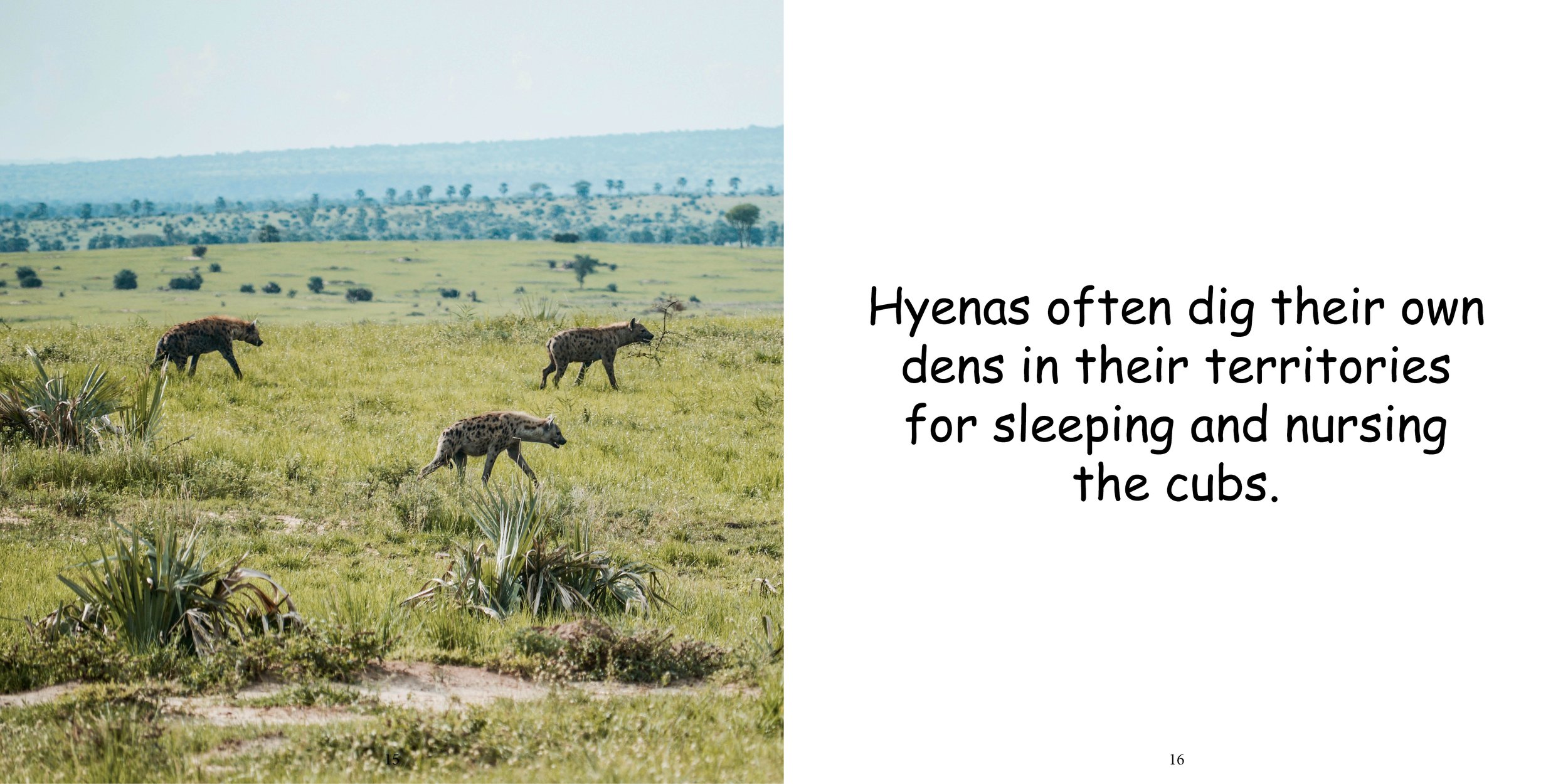 Everything about Hyenas - Animal Series12.jpg