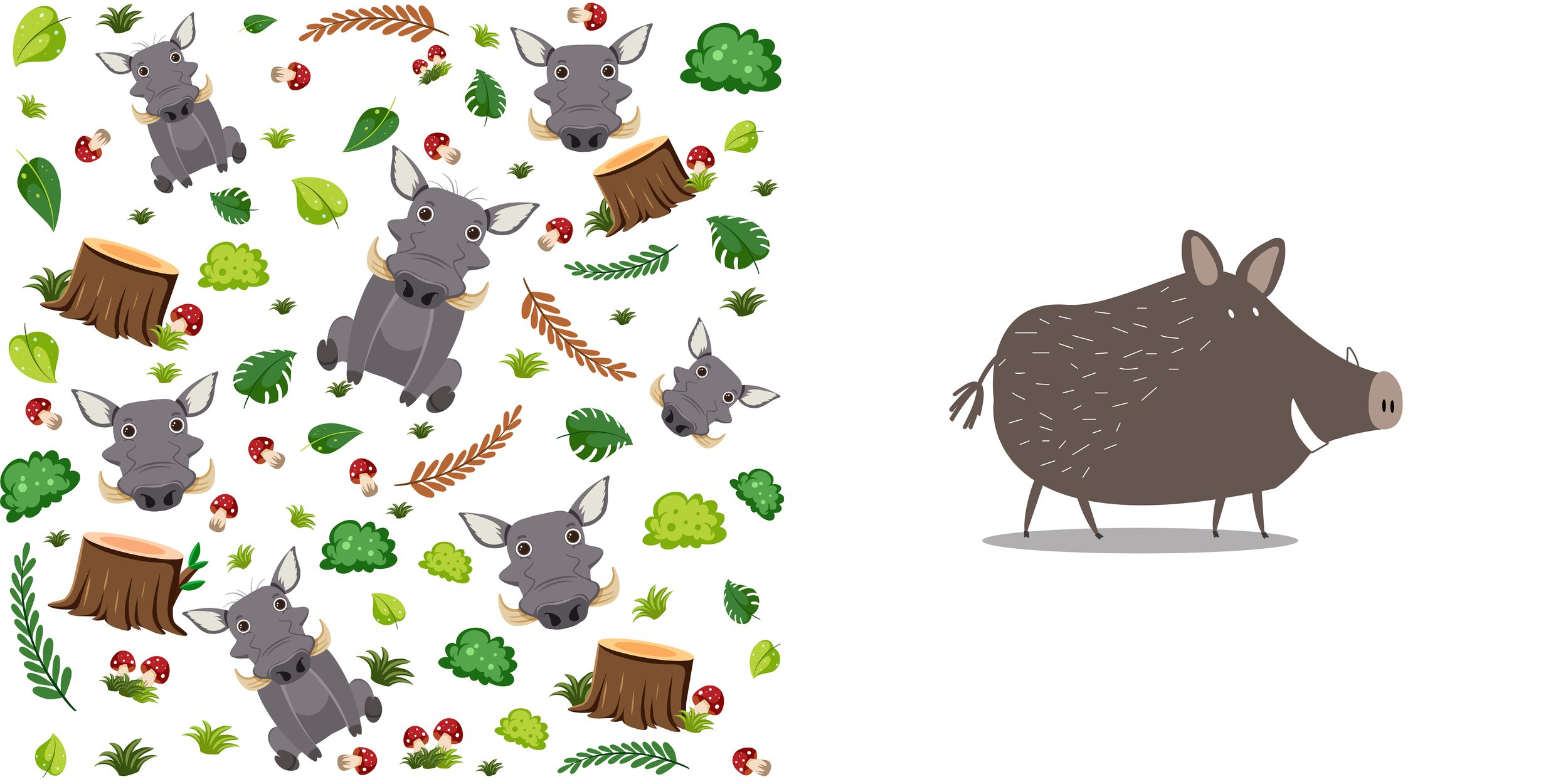 Everything about Boars - Animal Series2.jpg