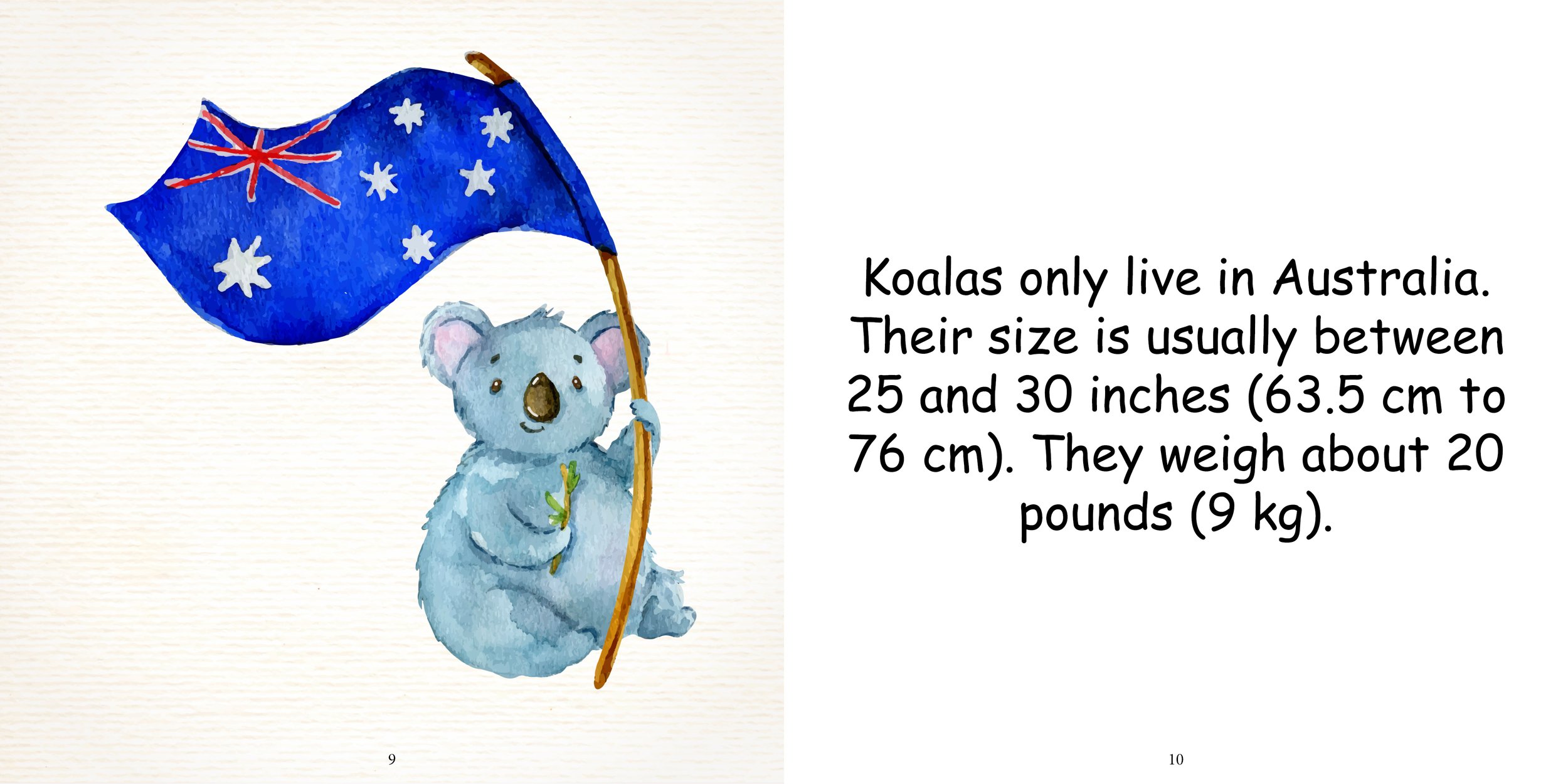 Everything about Koala - Animal Series7.jpg