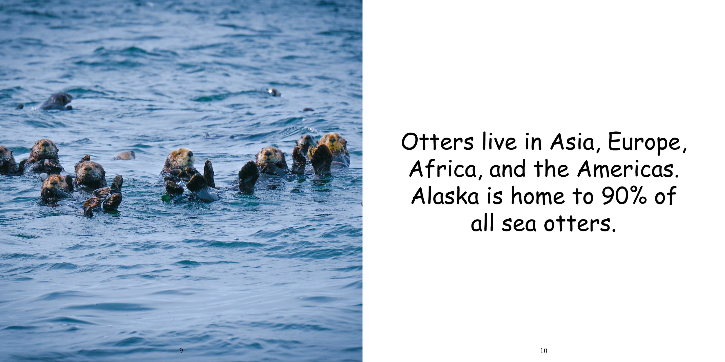 Everything about Otters - Animal Series7.jpg