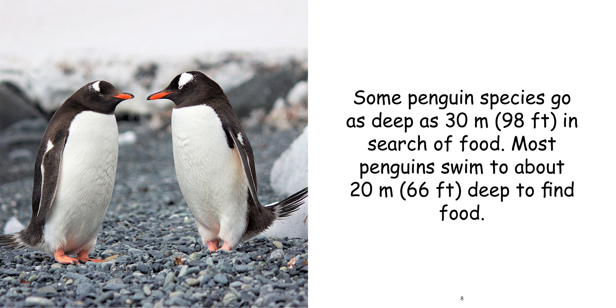 Everything about Penguins - Animal Series9.jpg