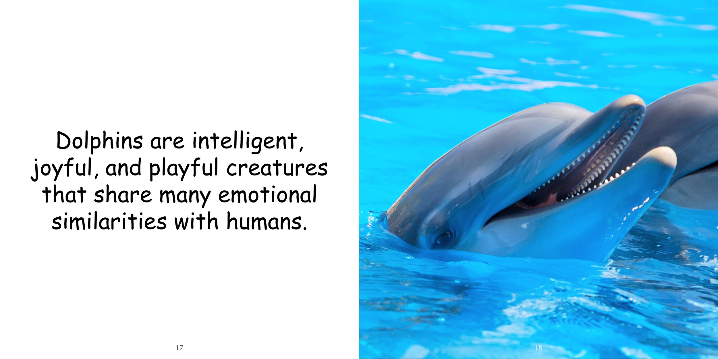 Everything about Dolphins - Animal Series14.jpg