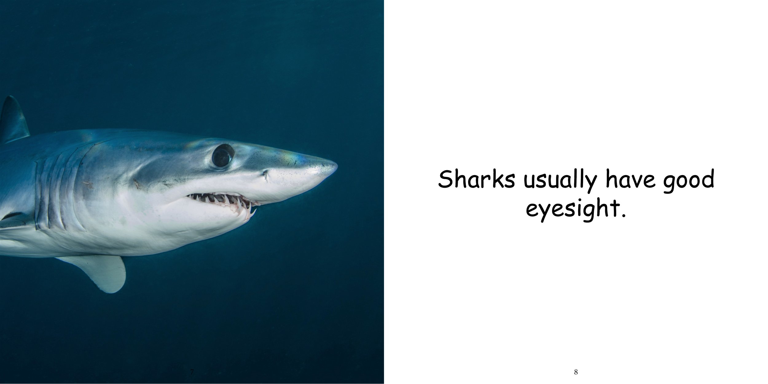 Everything about Shark - Animal Series9.jpg