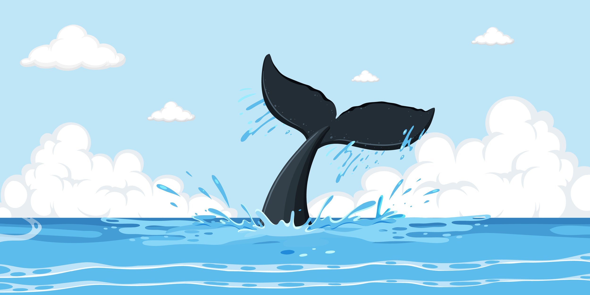 Everything about Whales - Animal Series4.jpg