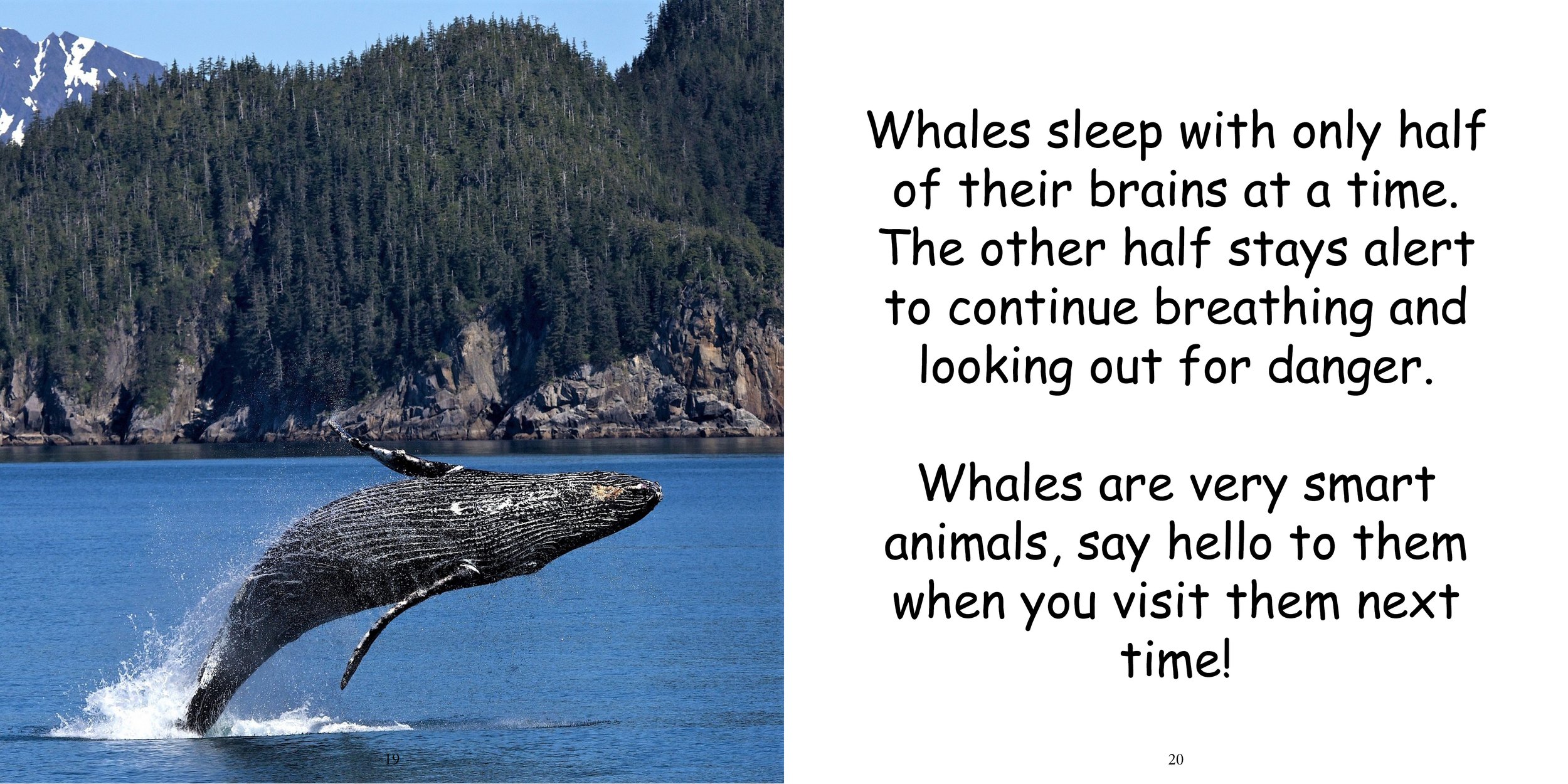 Everything about Whales - Animal Series14.jpg