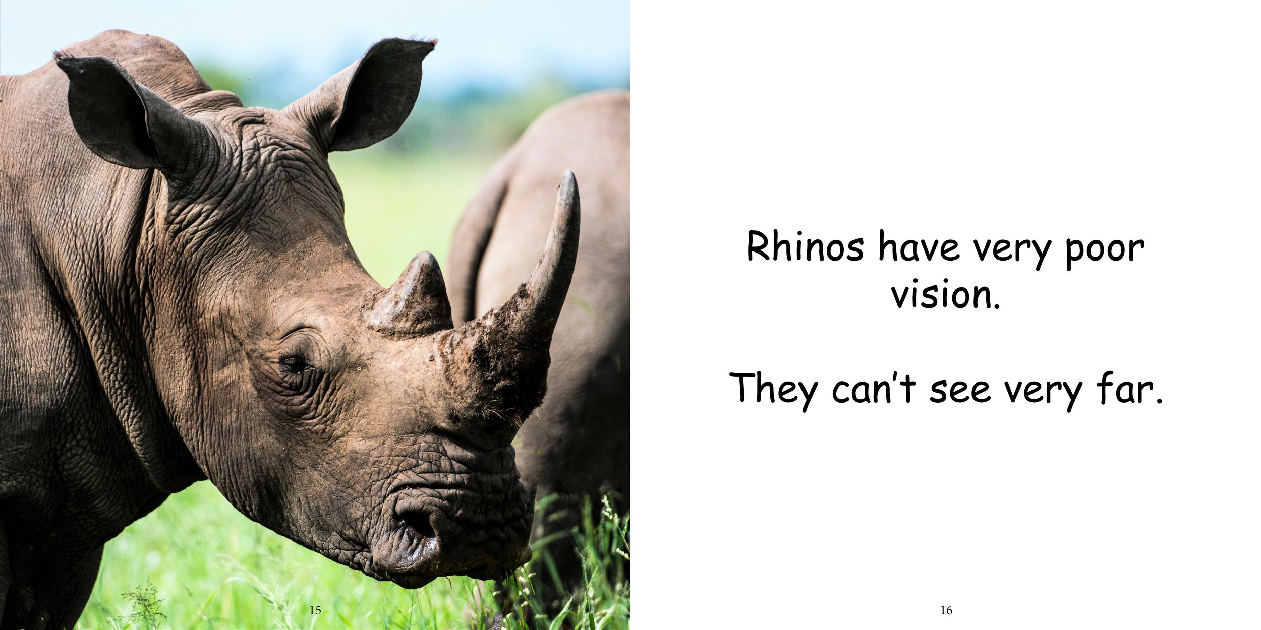 Everything about Rhinoceros - Animal Series12.jpg