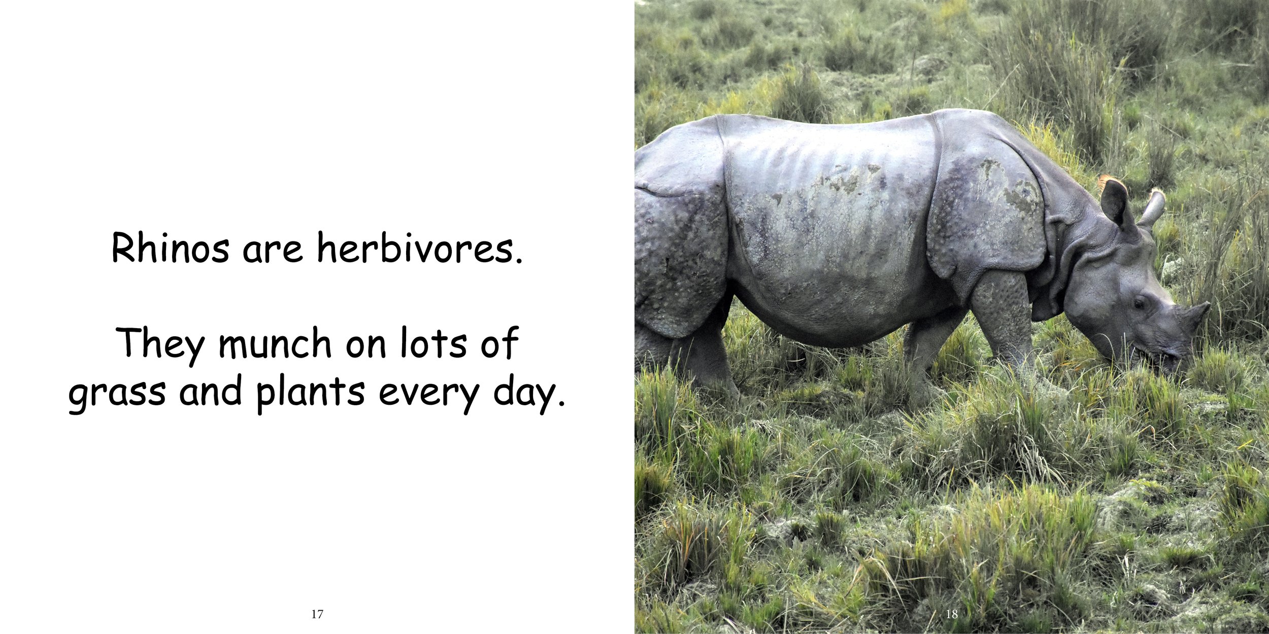 Everything about Rhinoceros - Animal Series13.jpg