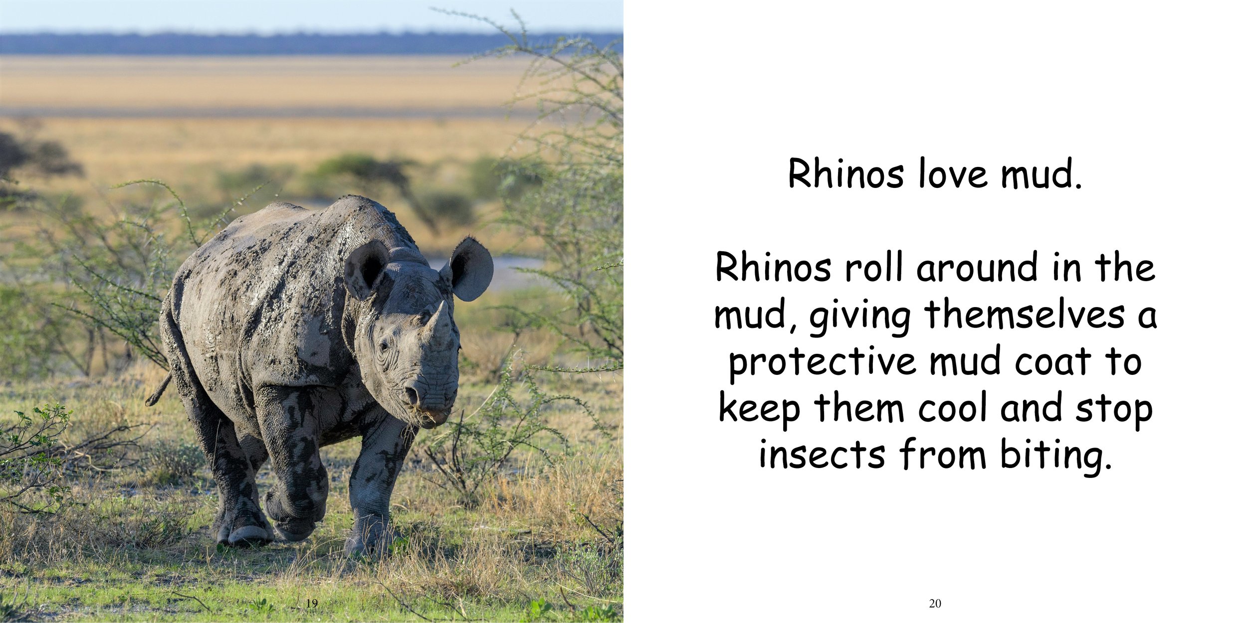 Everything about Rhinoceros - Animal Series14.jpg