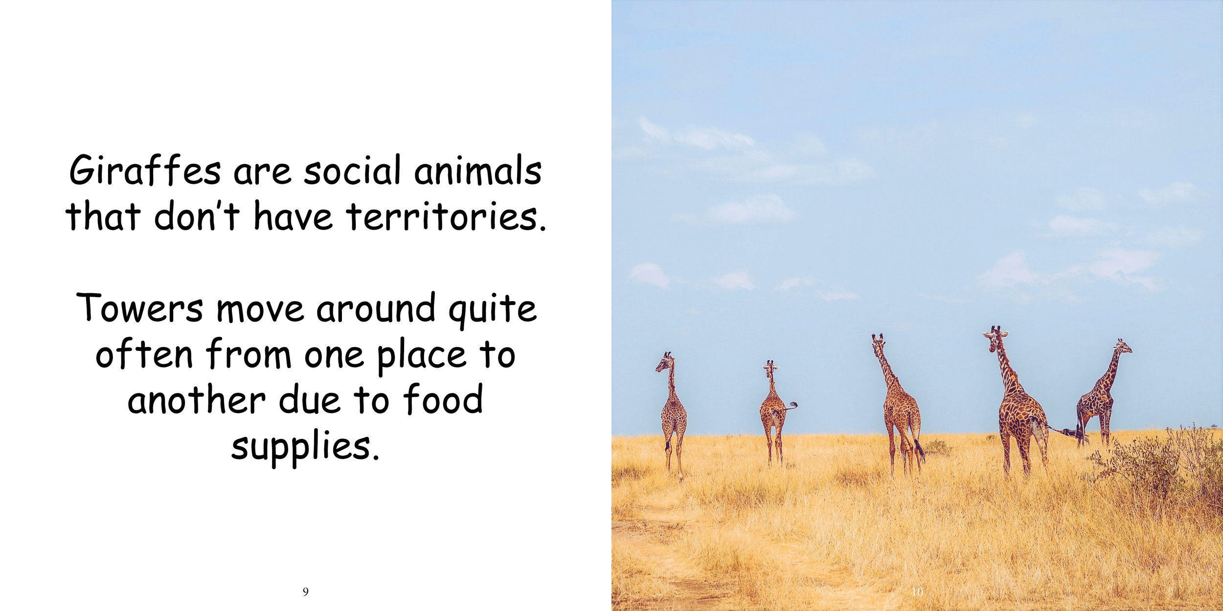 Everything about Giraffes - Animal Series8.jpg