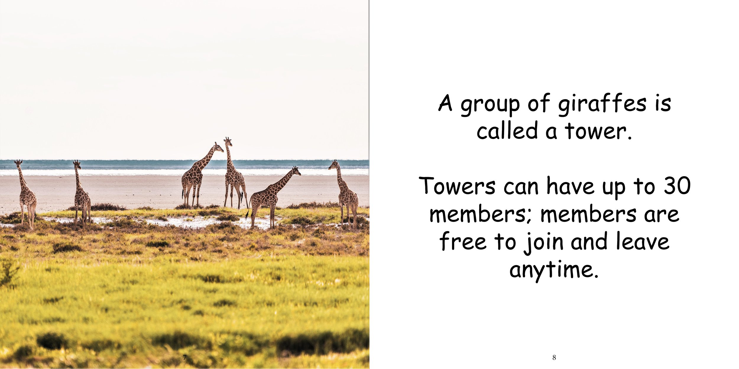 Everything about Giraffes - Animal Series7.jpg