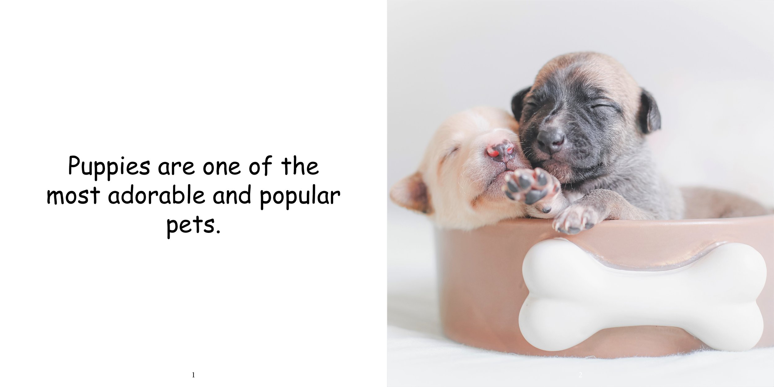 Everything about Puppies - Animal Series6.jpg