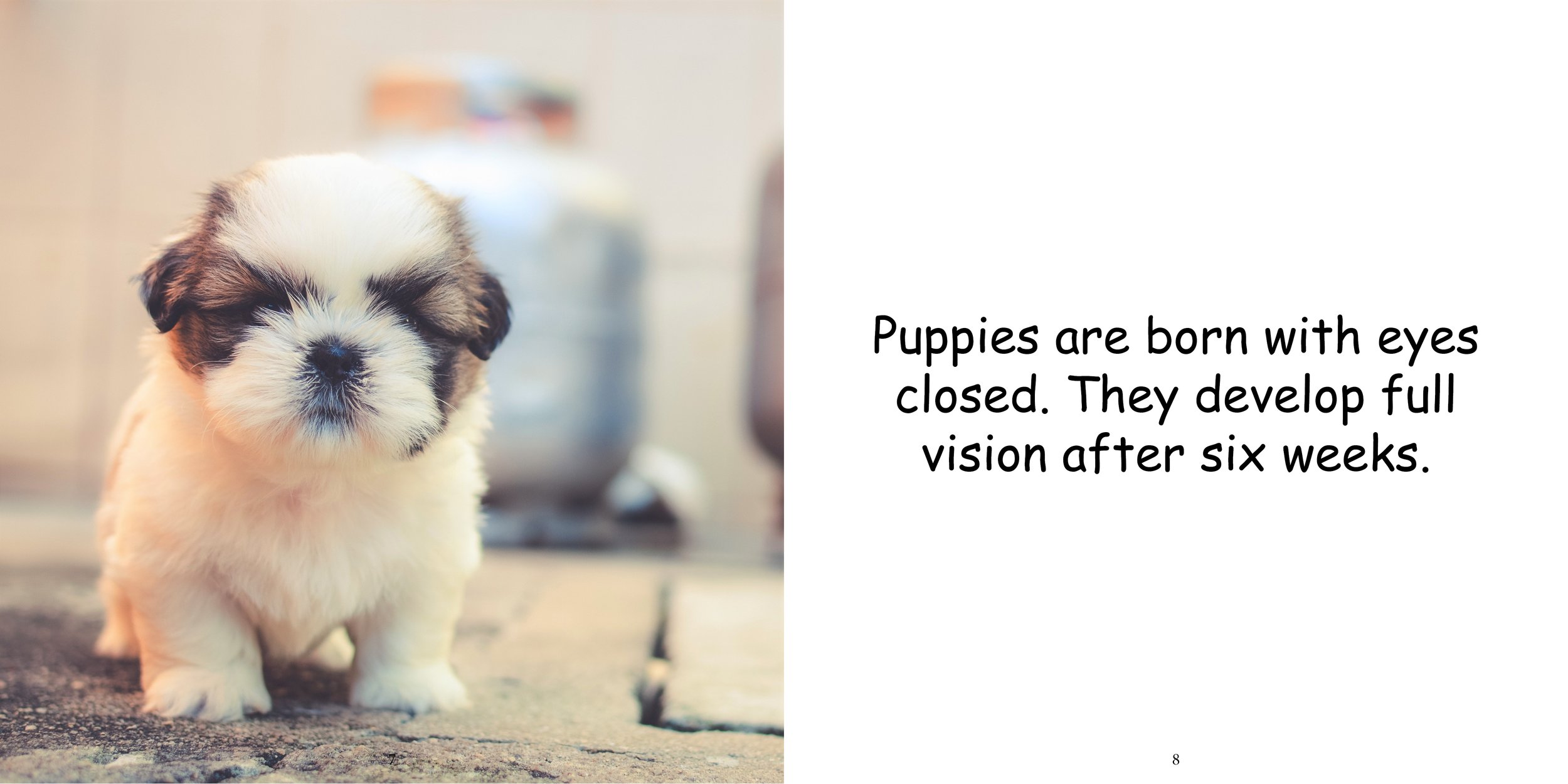Everything about Puppies - Animal Series9.jpg